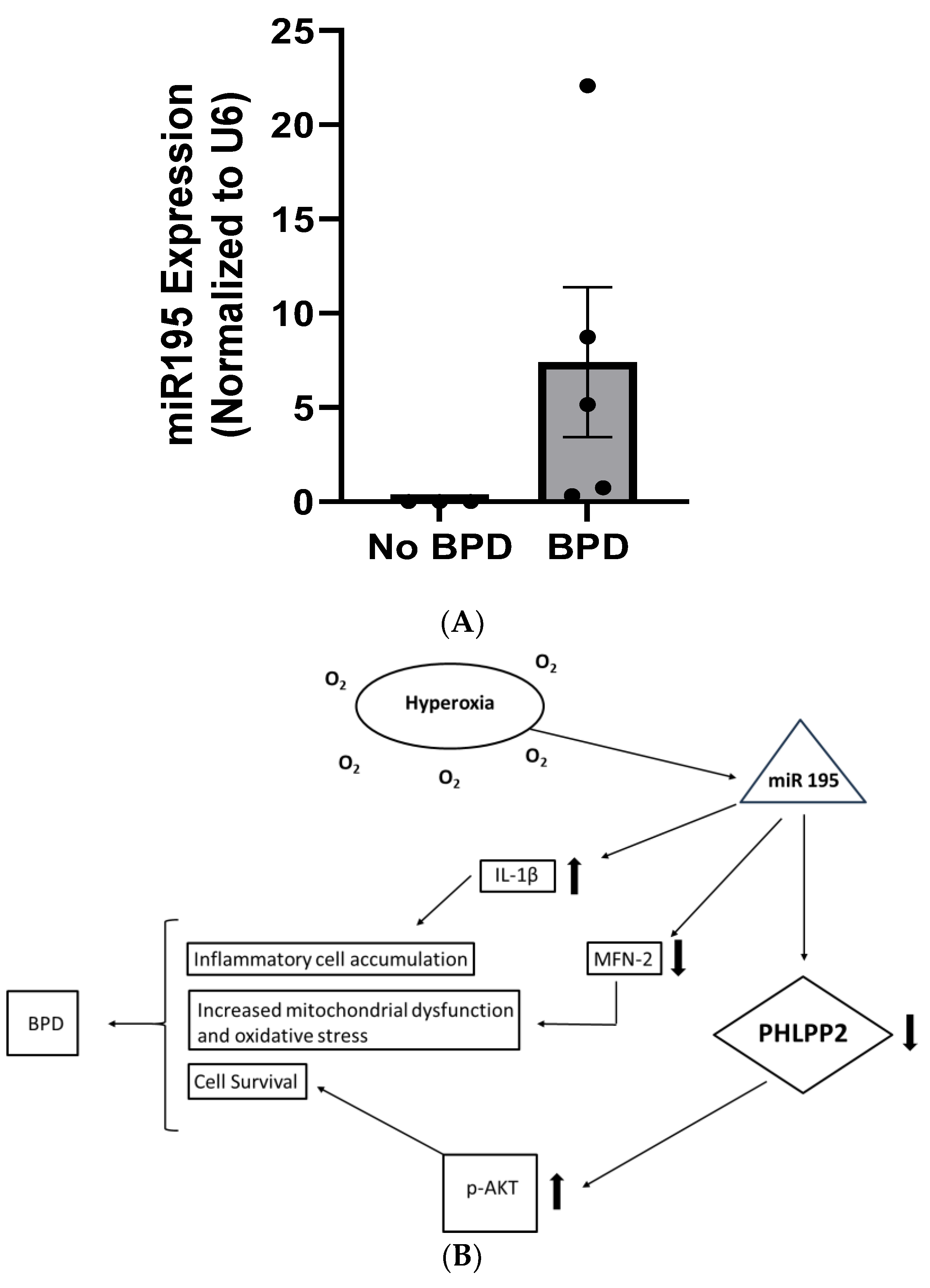 Biomedicines 12 01208 g007