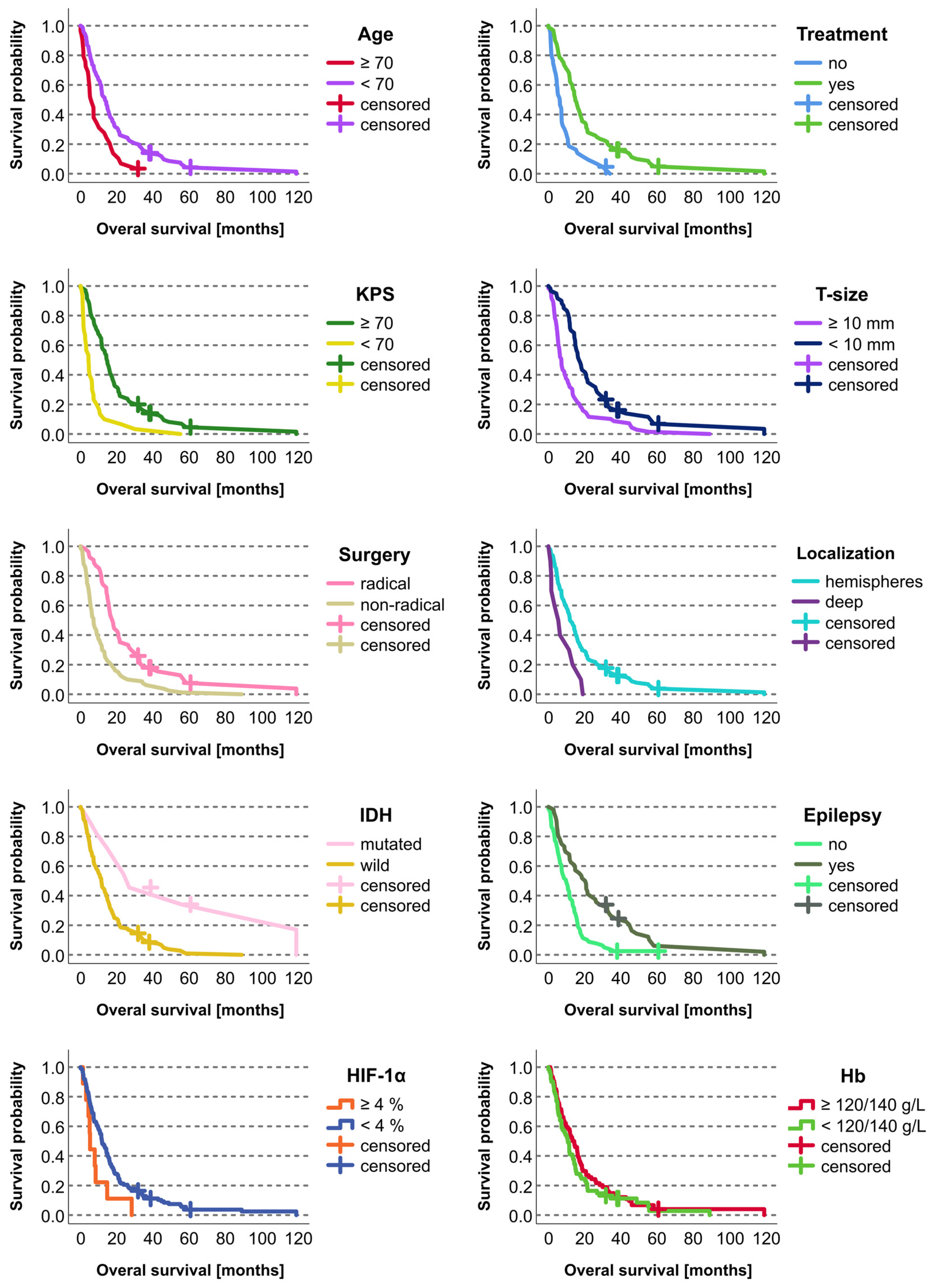 Biomedicines 12 01210 g002