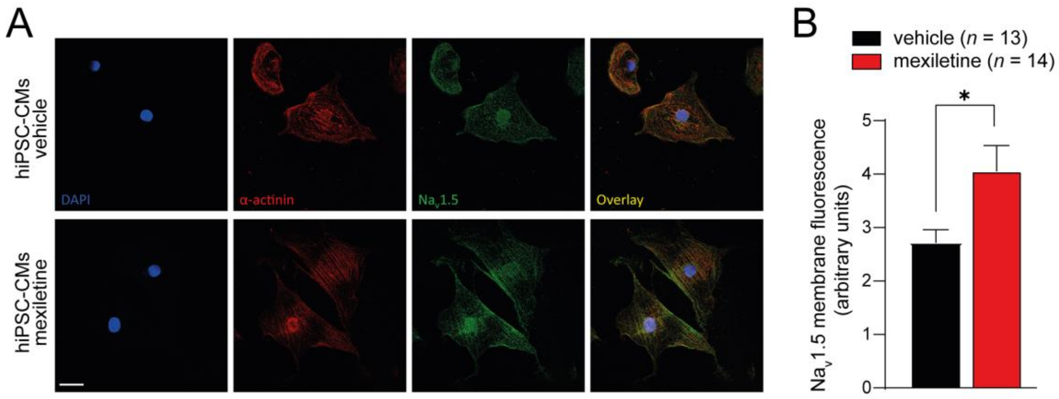 Biomedicines 12 01212 g002