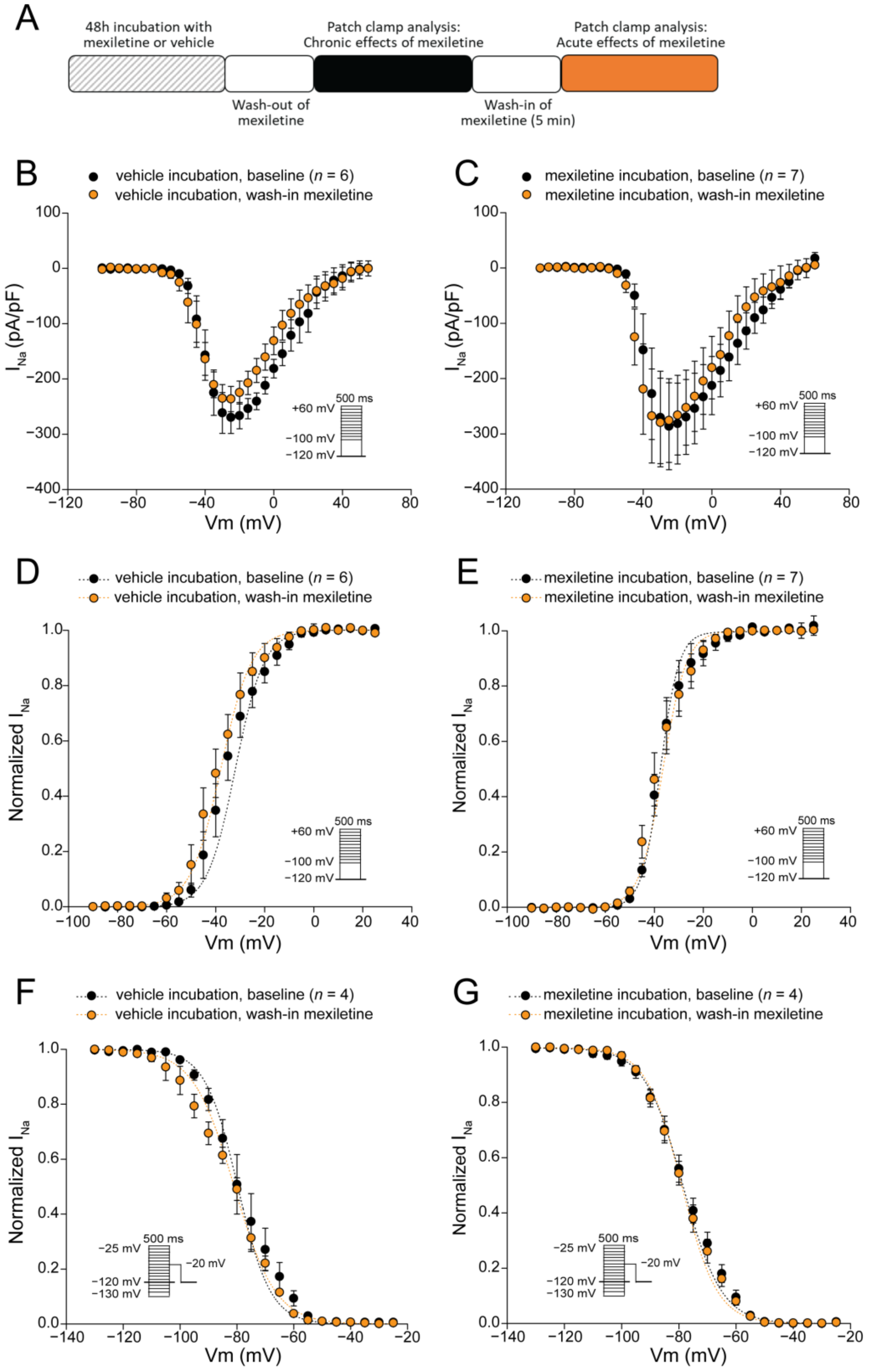 Biomedicines 12 01212 g003
