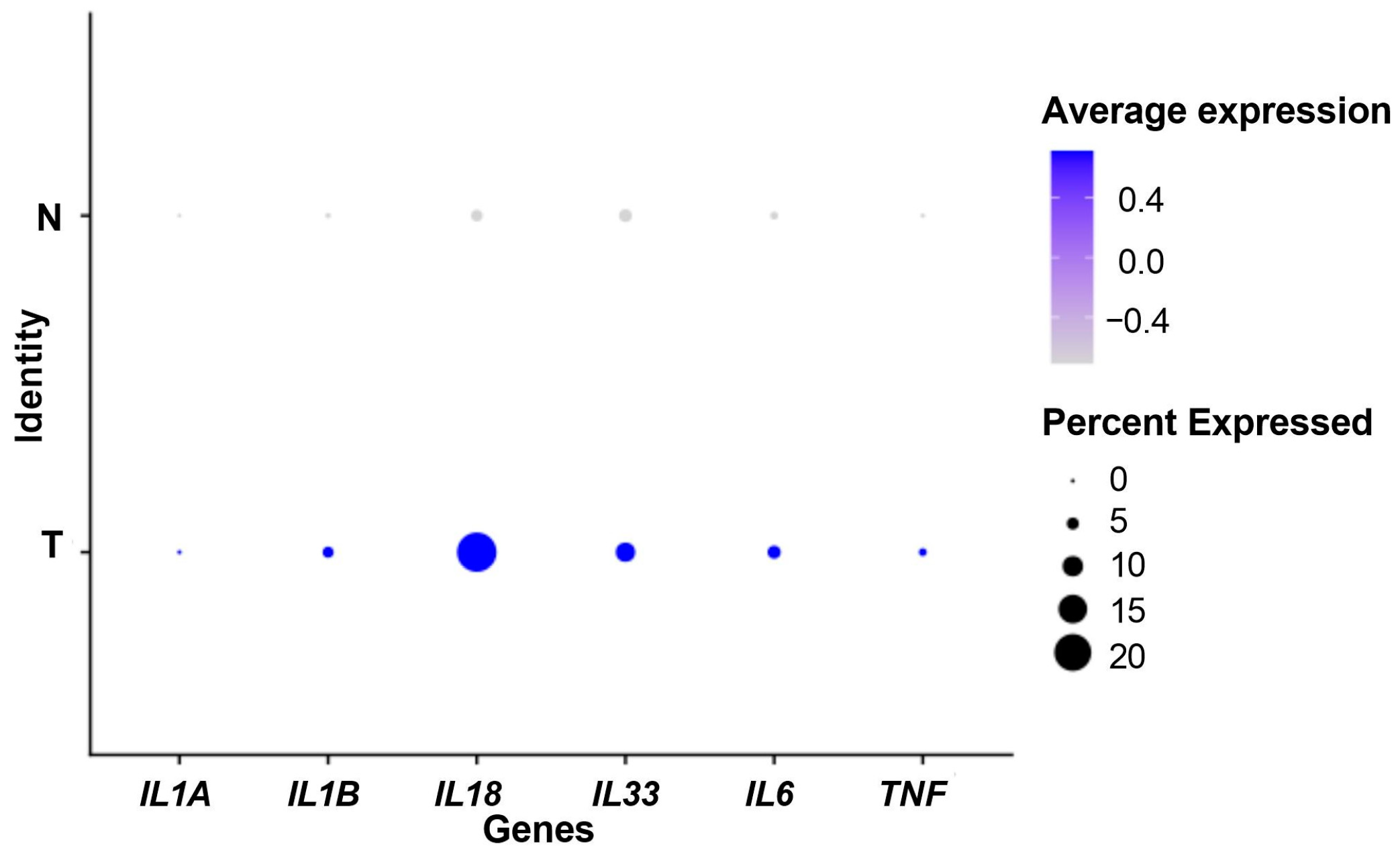 Biomedicines 12 01216 g001