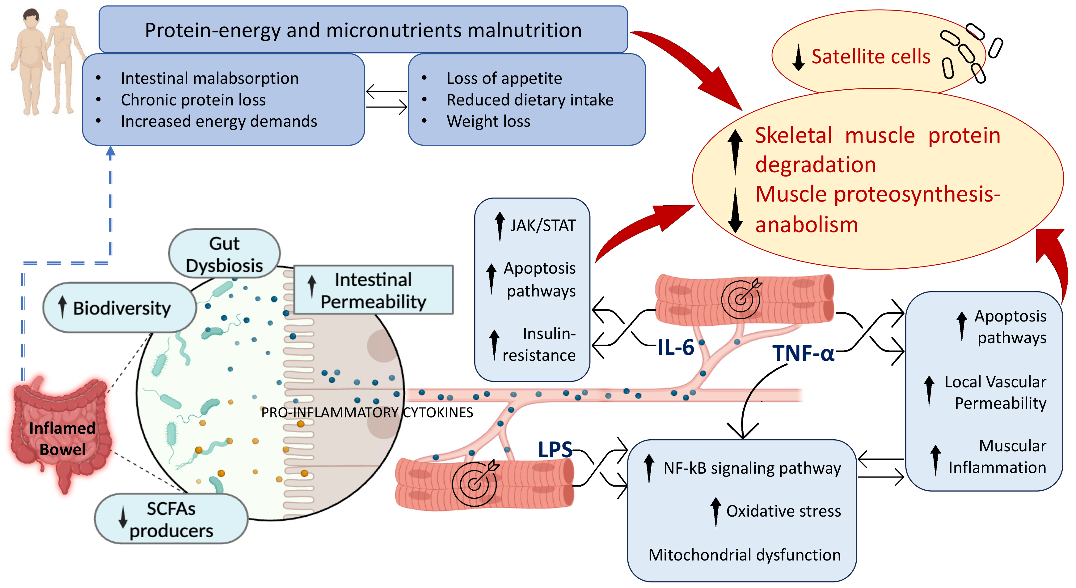Biomedicines 12 01218 g001