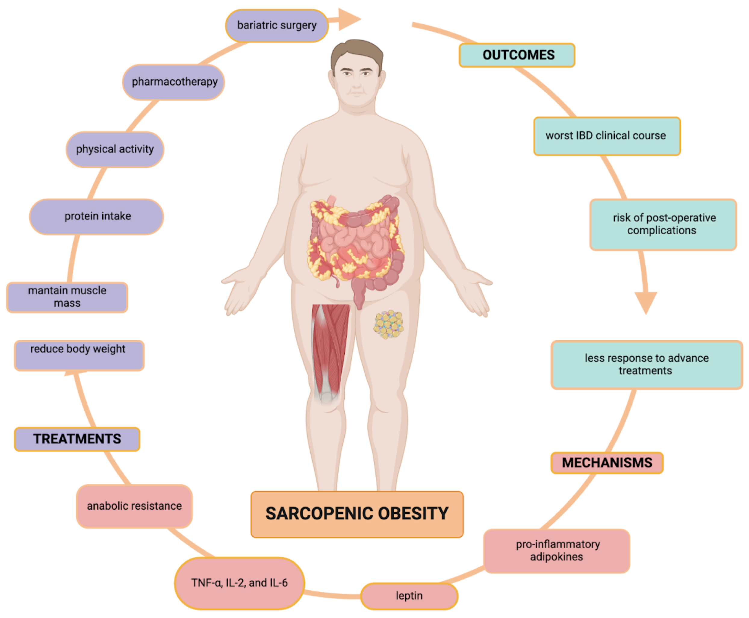 Biomedicines 12 01218 g002