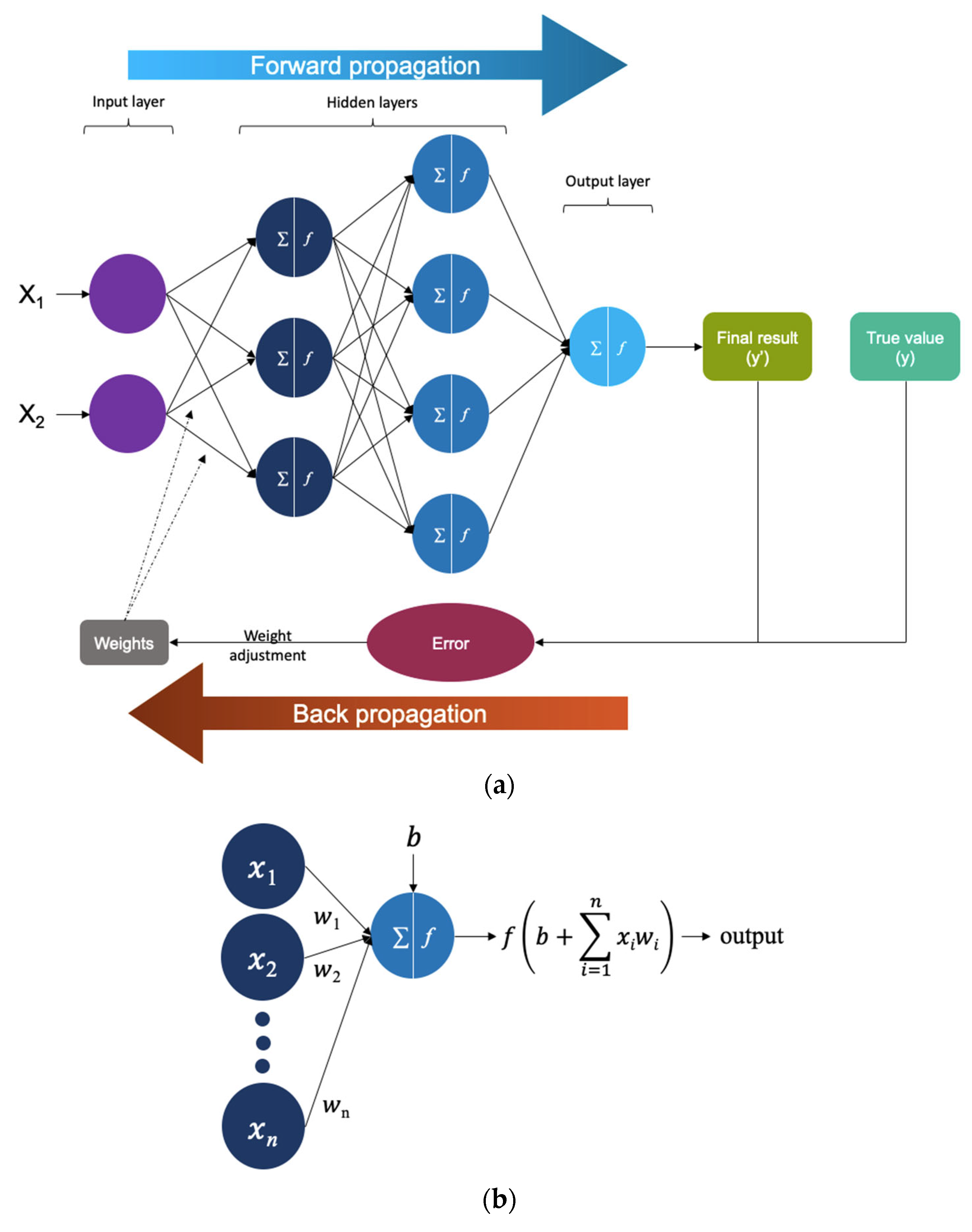 Biomedicines 12 01220 g003