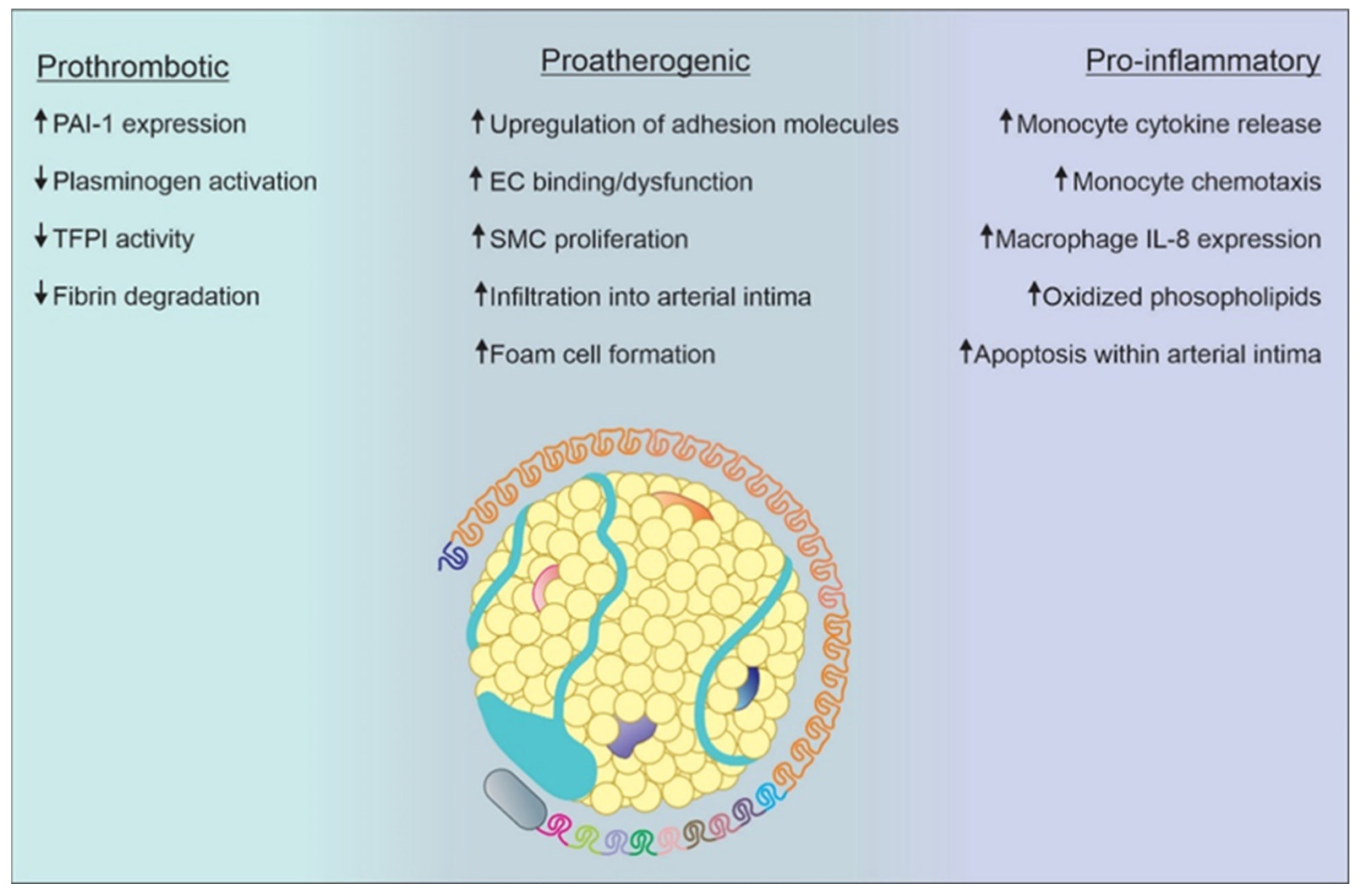 Biomedicines 12 01229 g003