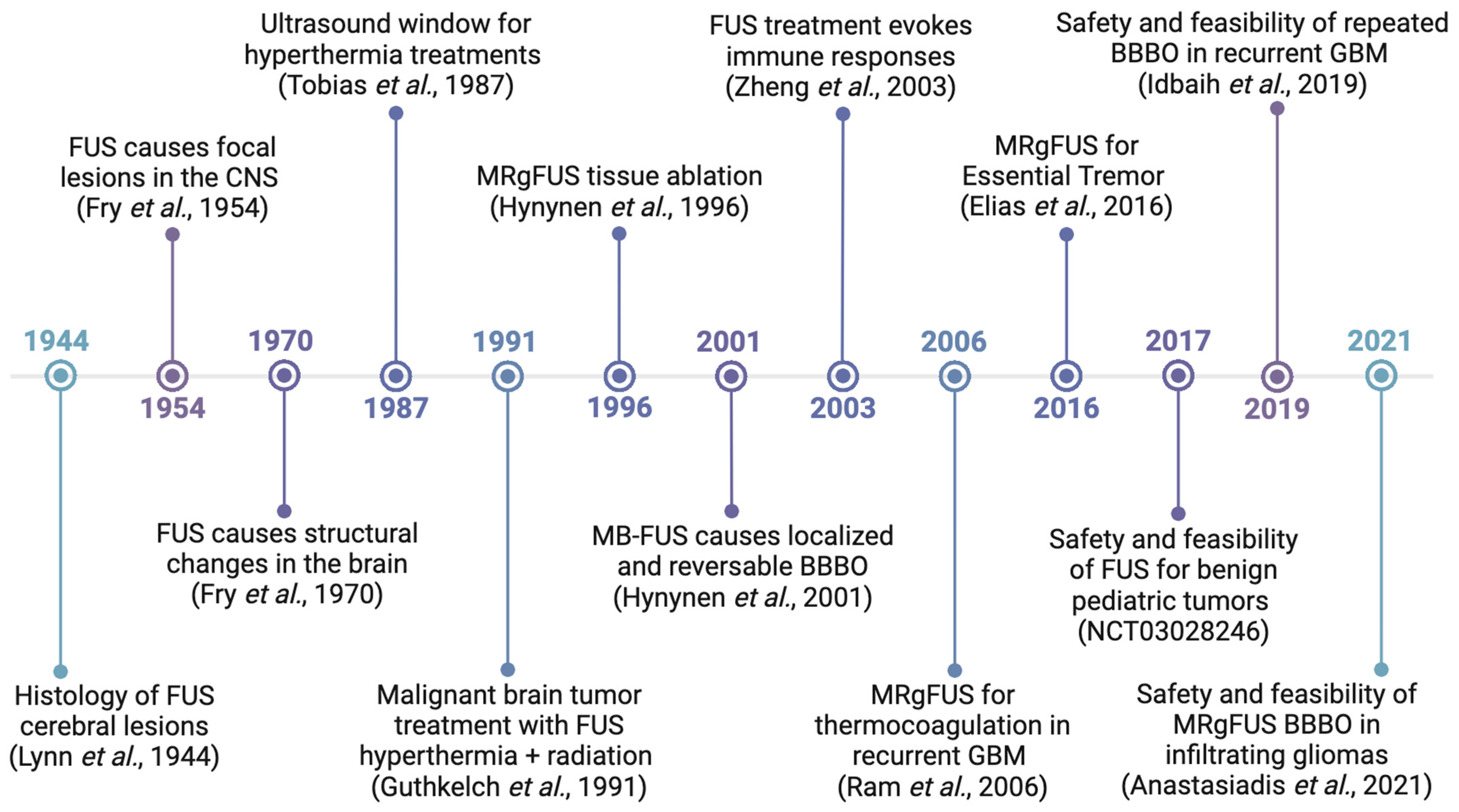 Biomedicines 12 01230 g001