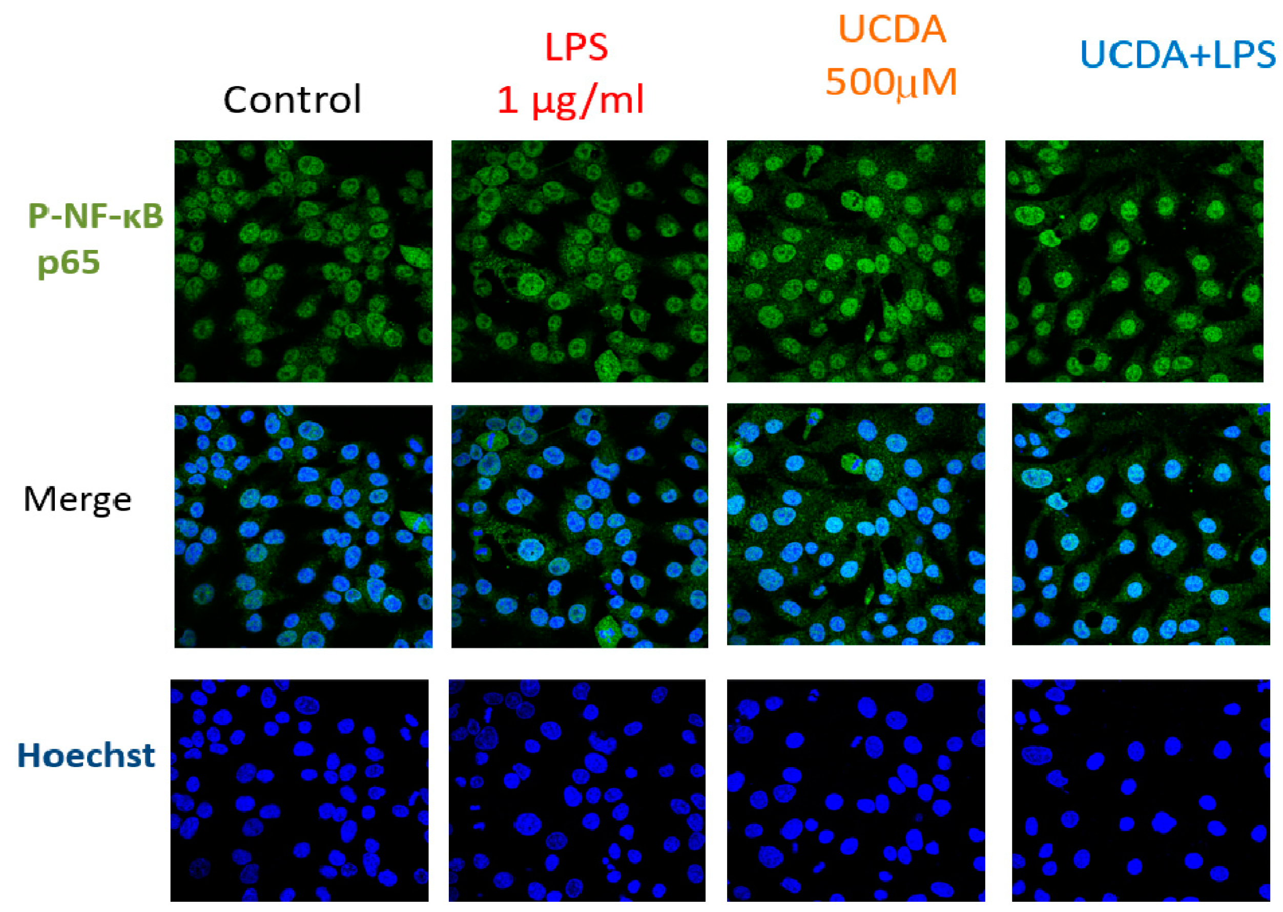 Biomedicines 12 01236 g003