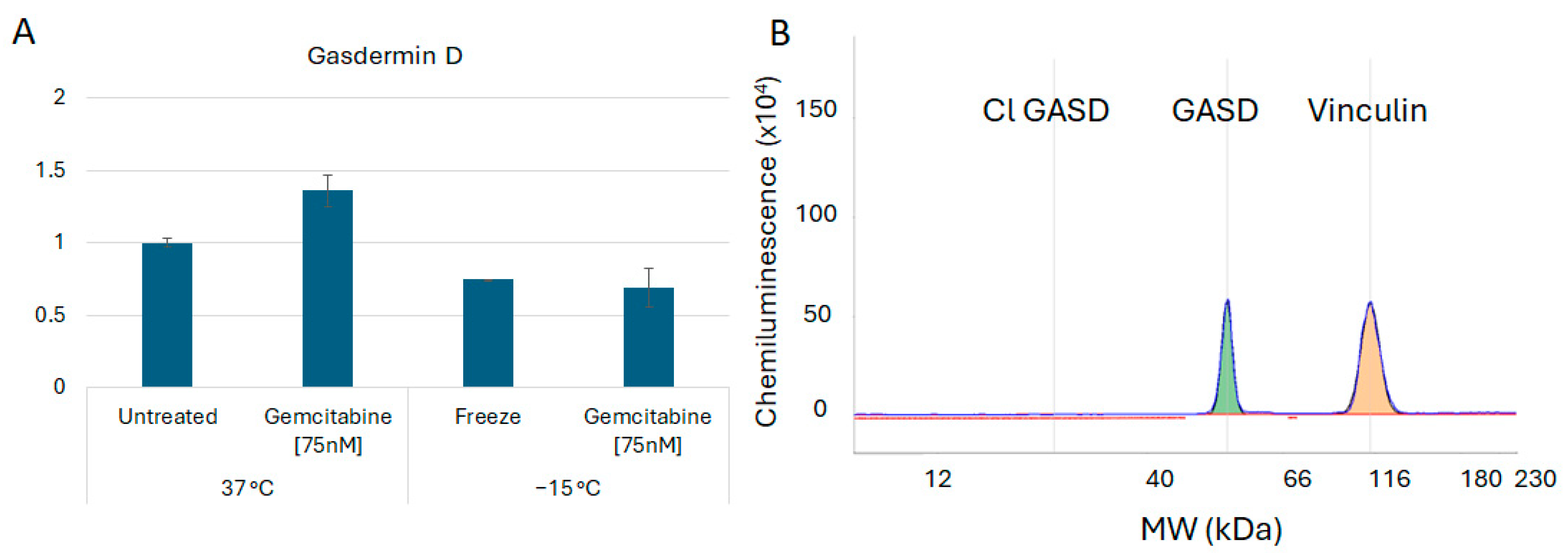 Biomedicines 12 01239 g006