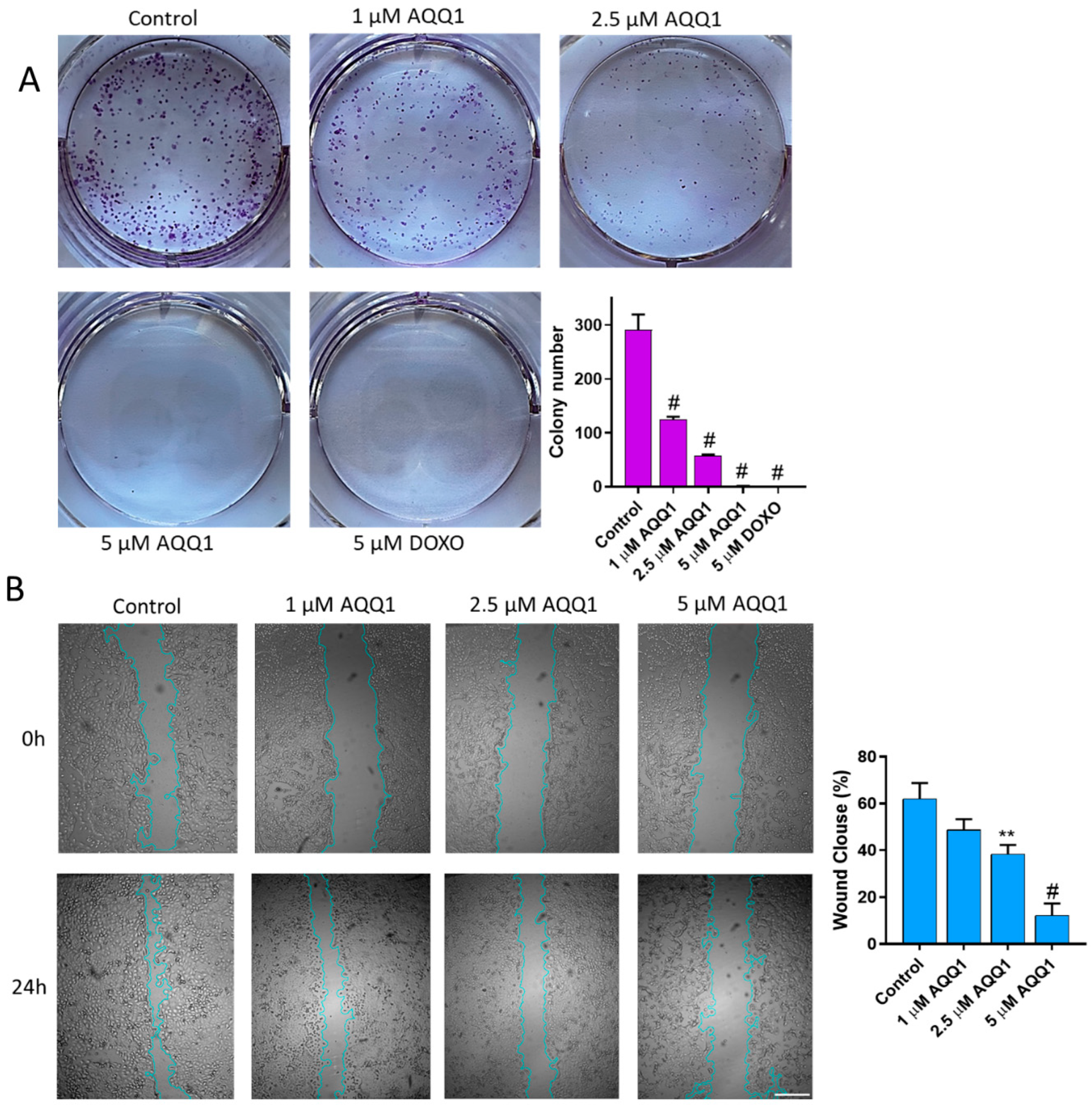 Biomedicines 12 01241 g004