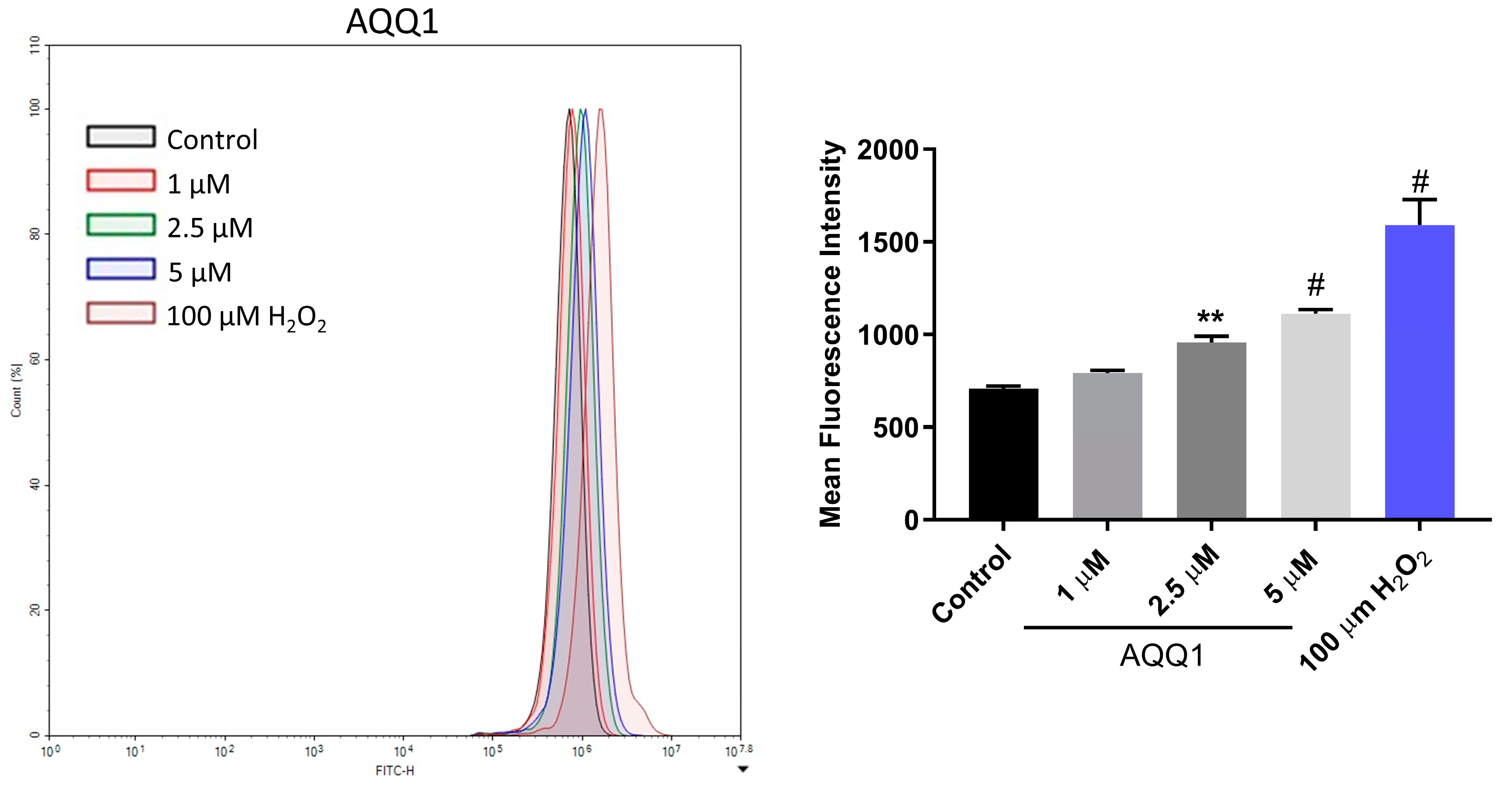 Biomedicines 12 01241 g007