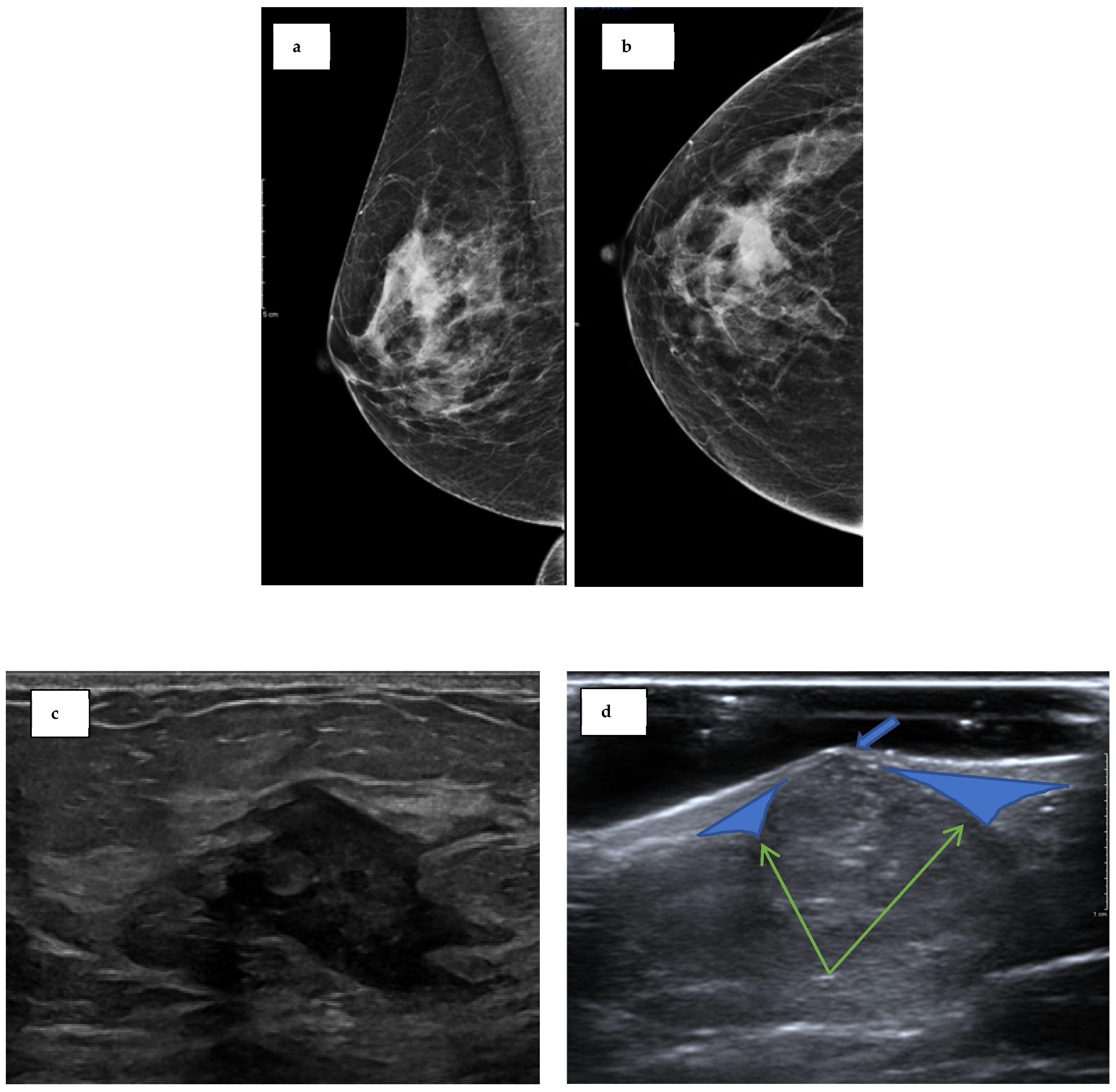 Biomedicines 12 01242 g001