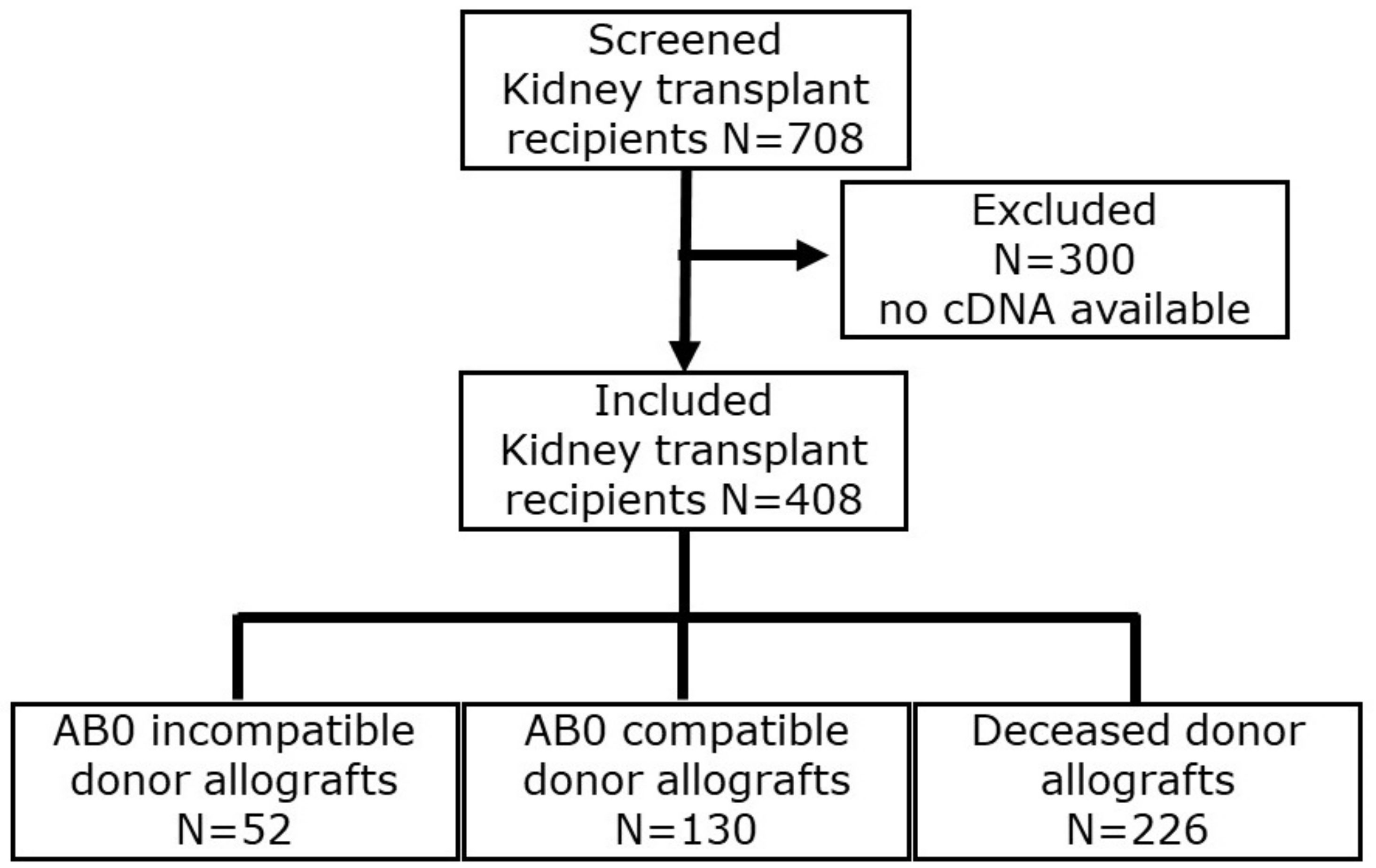 Biomedicines 12 01258 g001