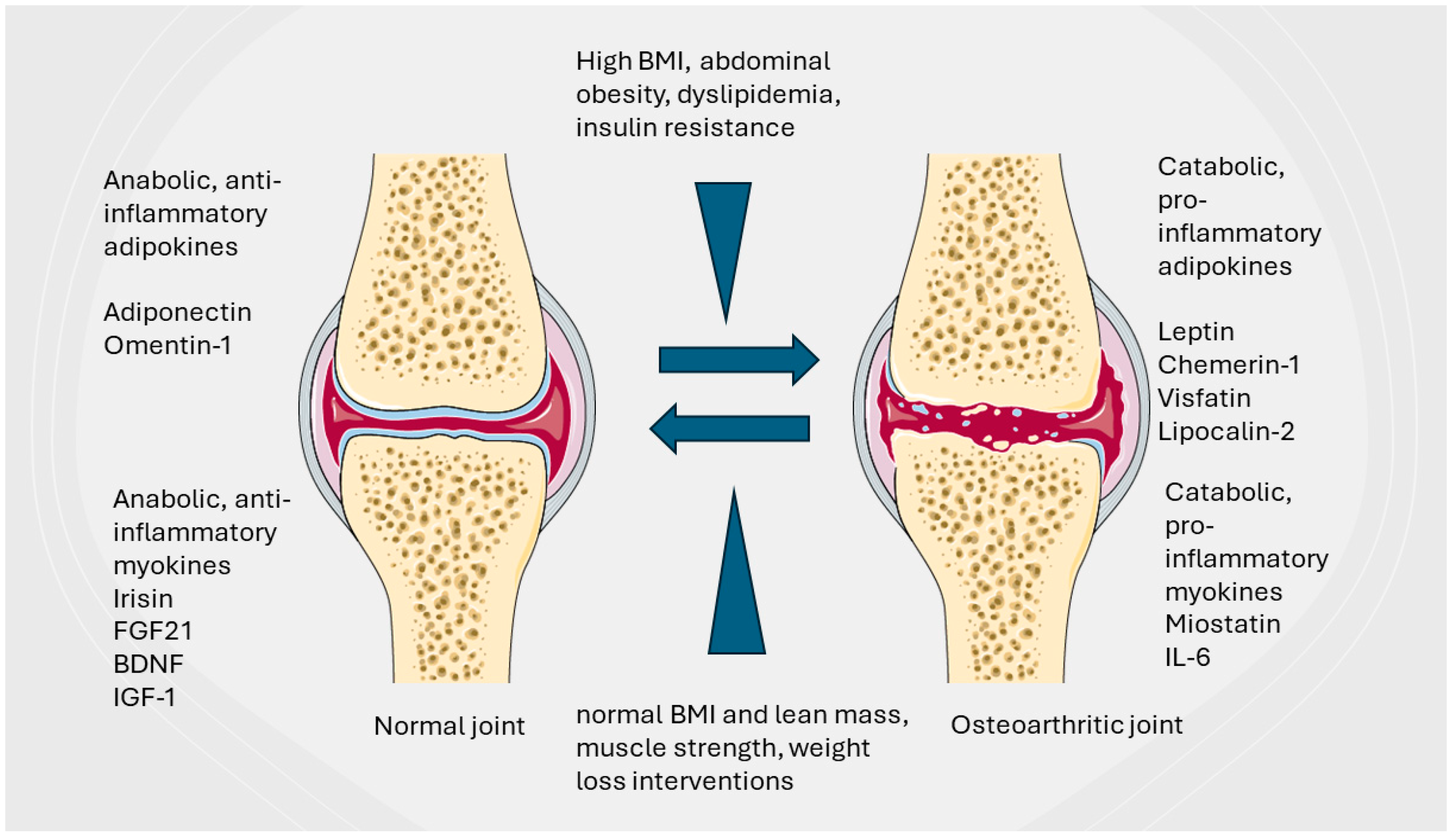 Biomedicines 12 01262 g001