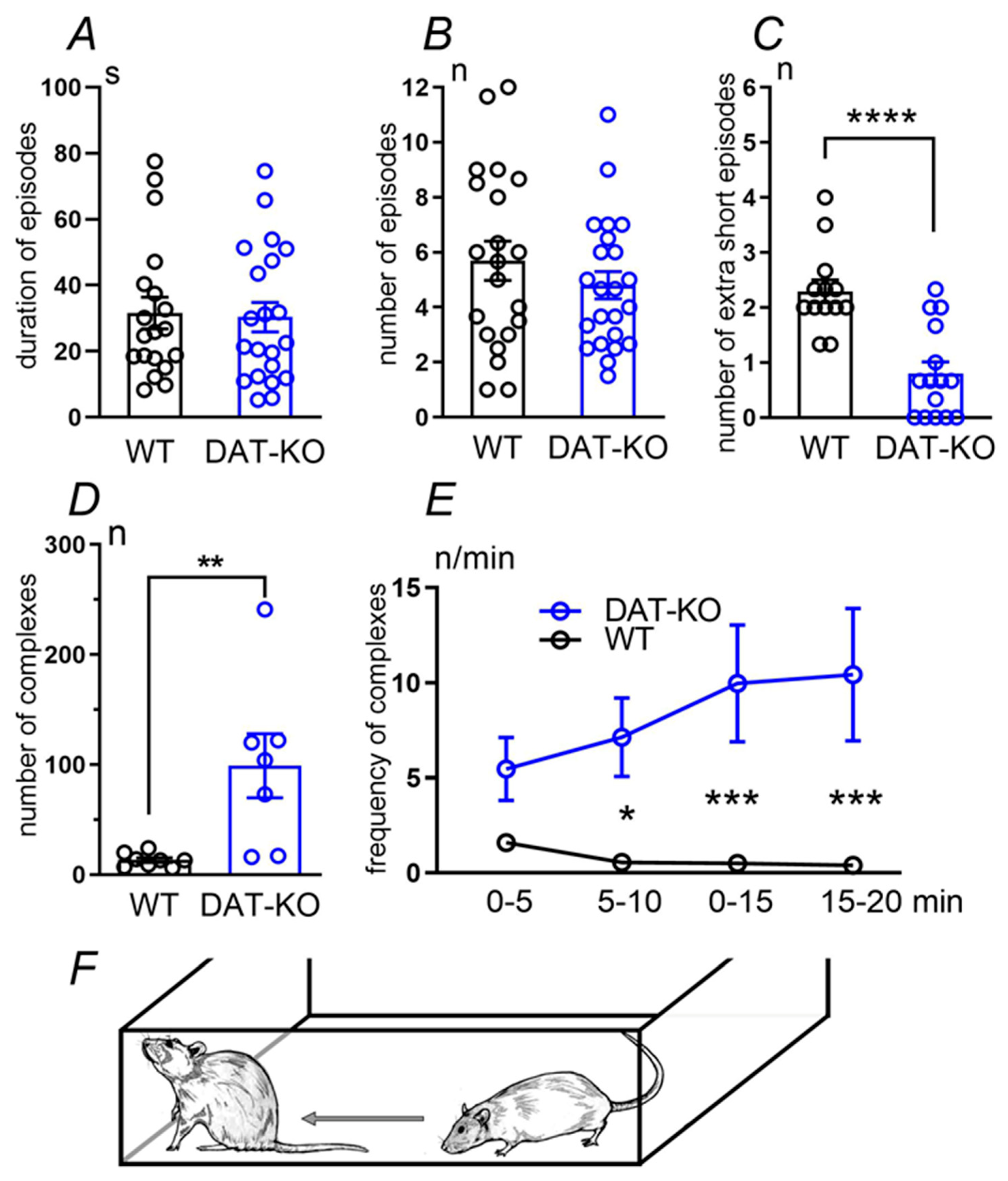 Biomedicines 12 01270 g001