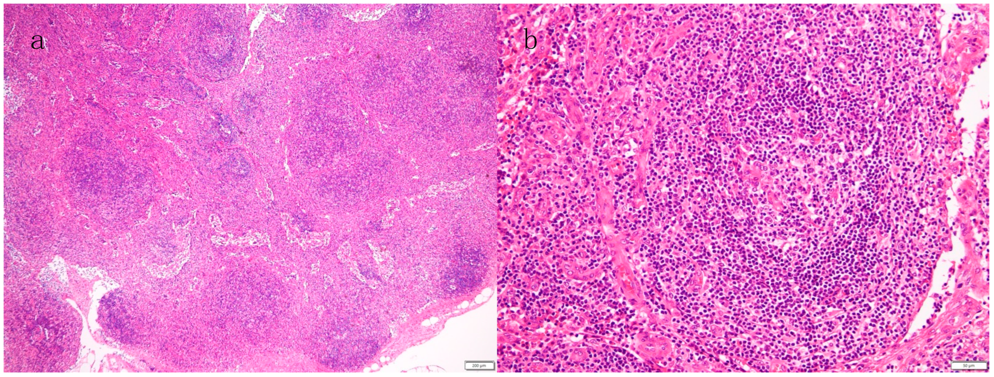 Biomedicines 12 01277 g001