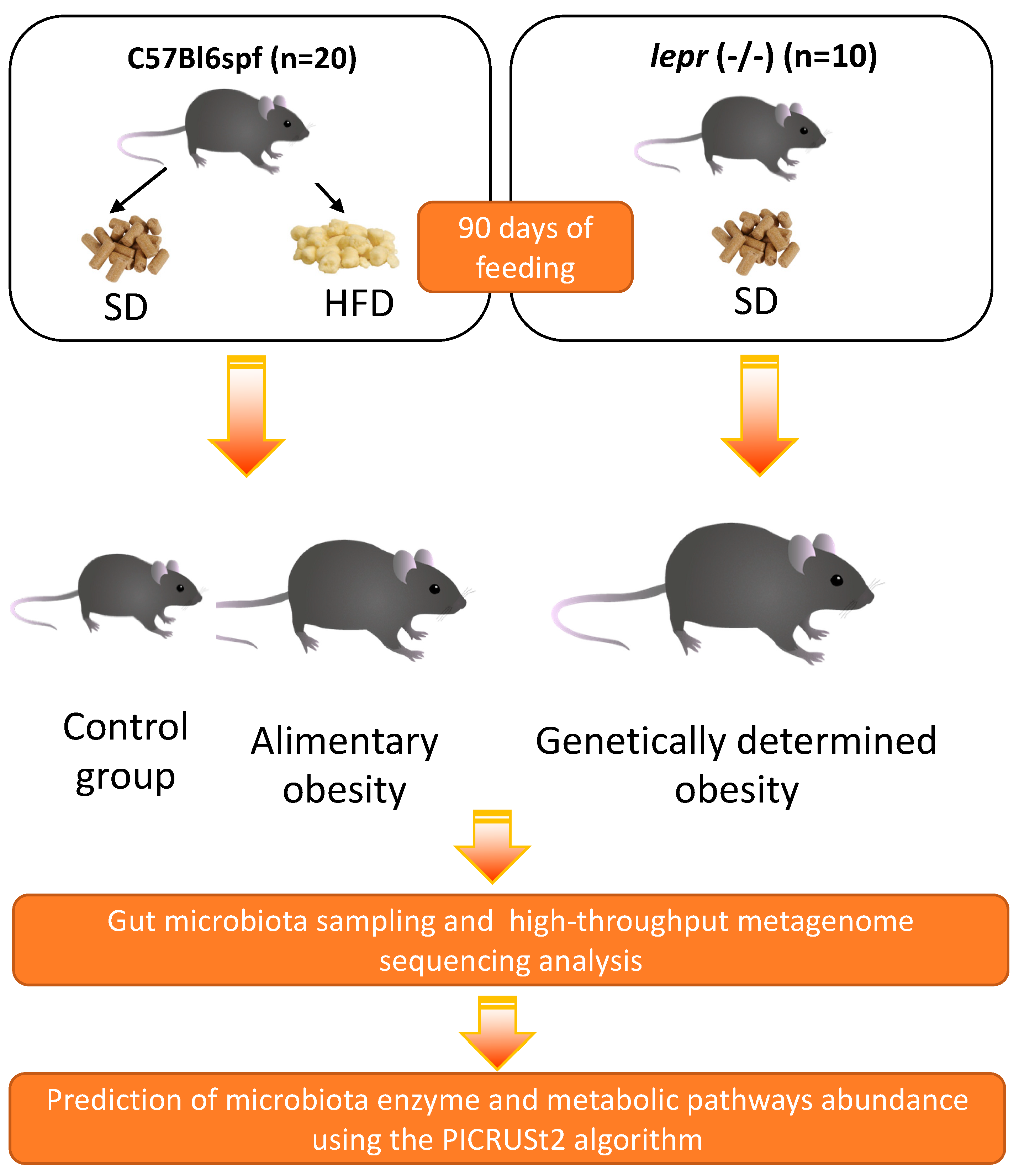 Biomedicines 12 01280 g002