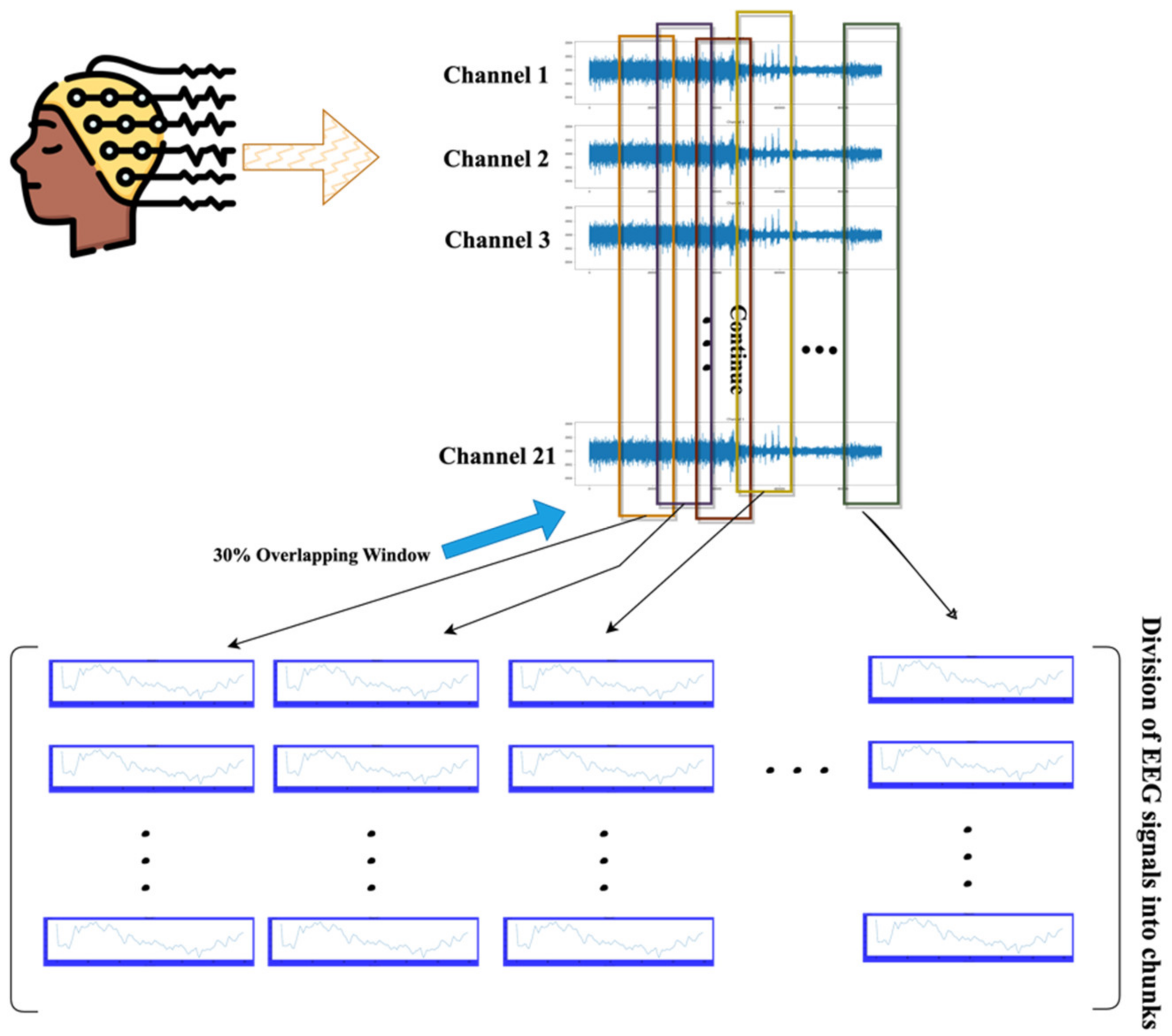 Biomedicines 12 01283 g004