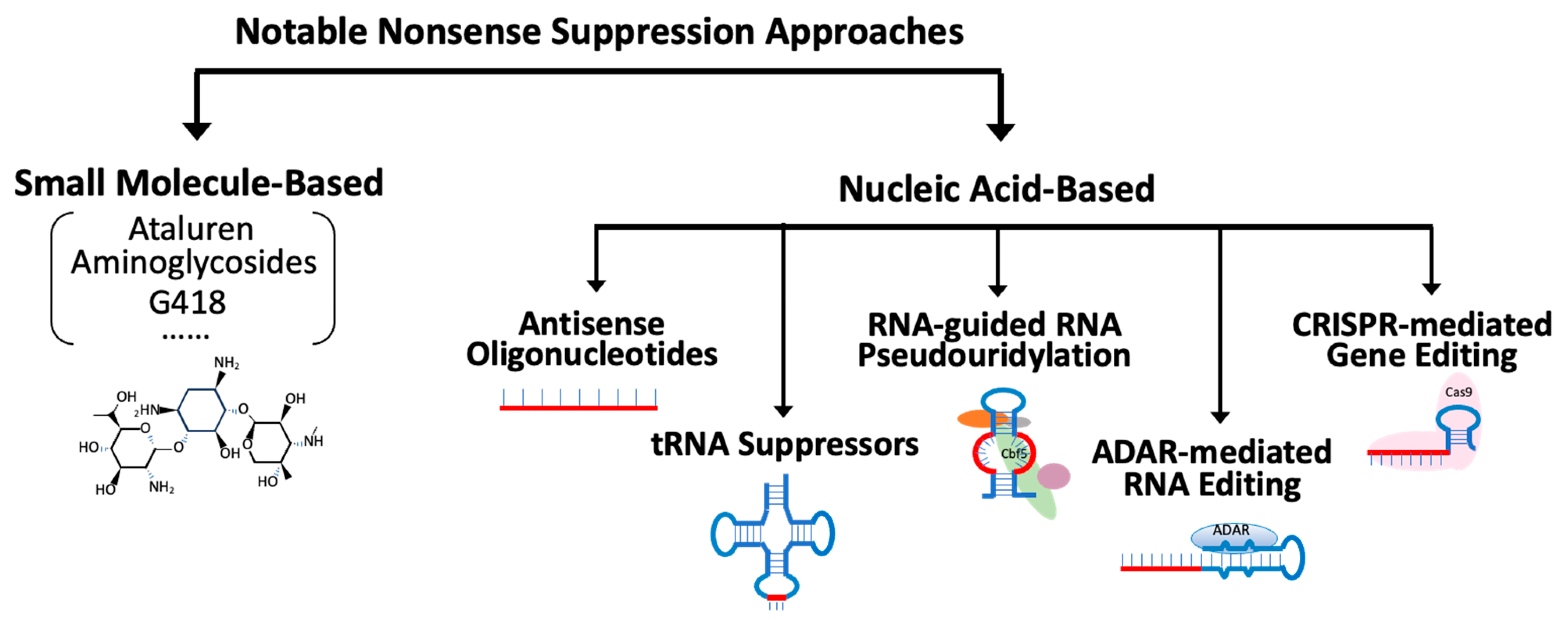 Biomedicines 12 01284 g003