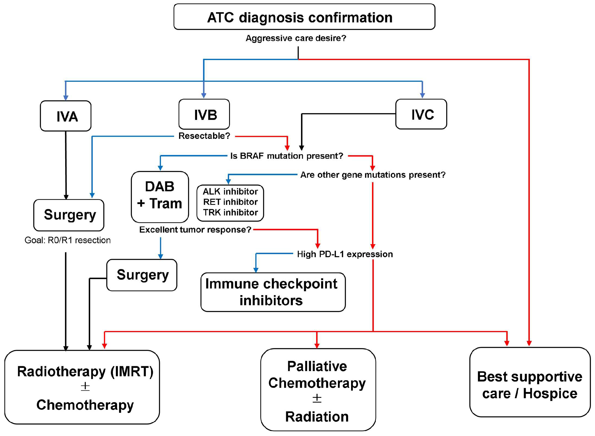 Biomedicines 12 01286 g002