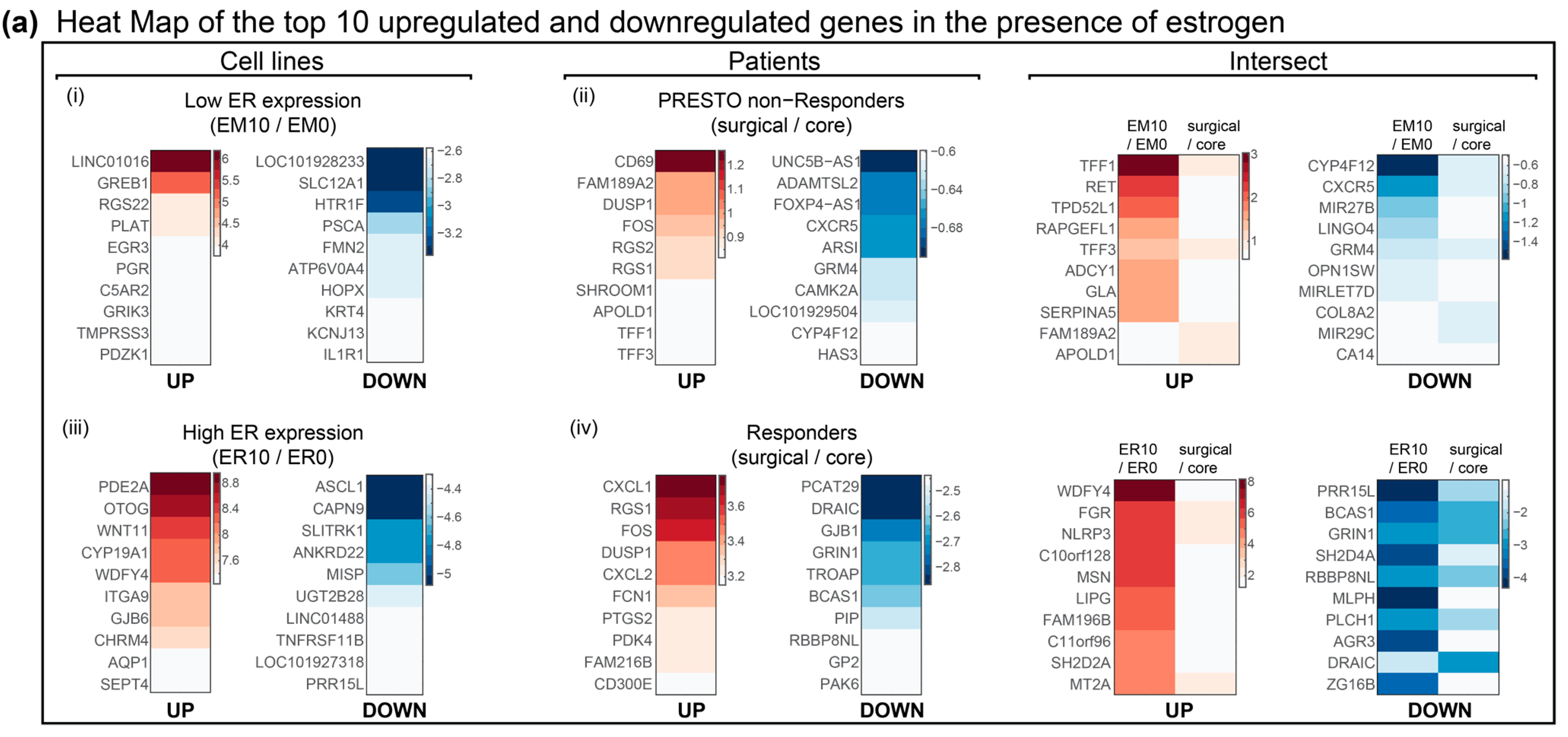 Biomedicines 12 01300 g0a1a