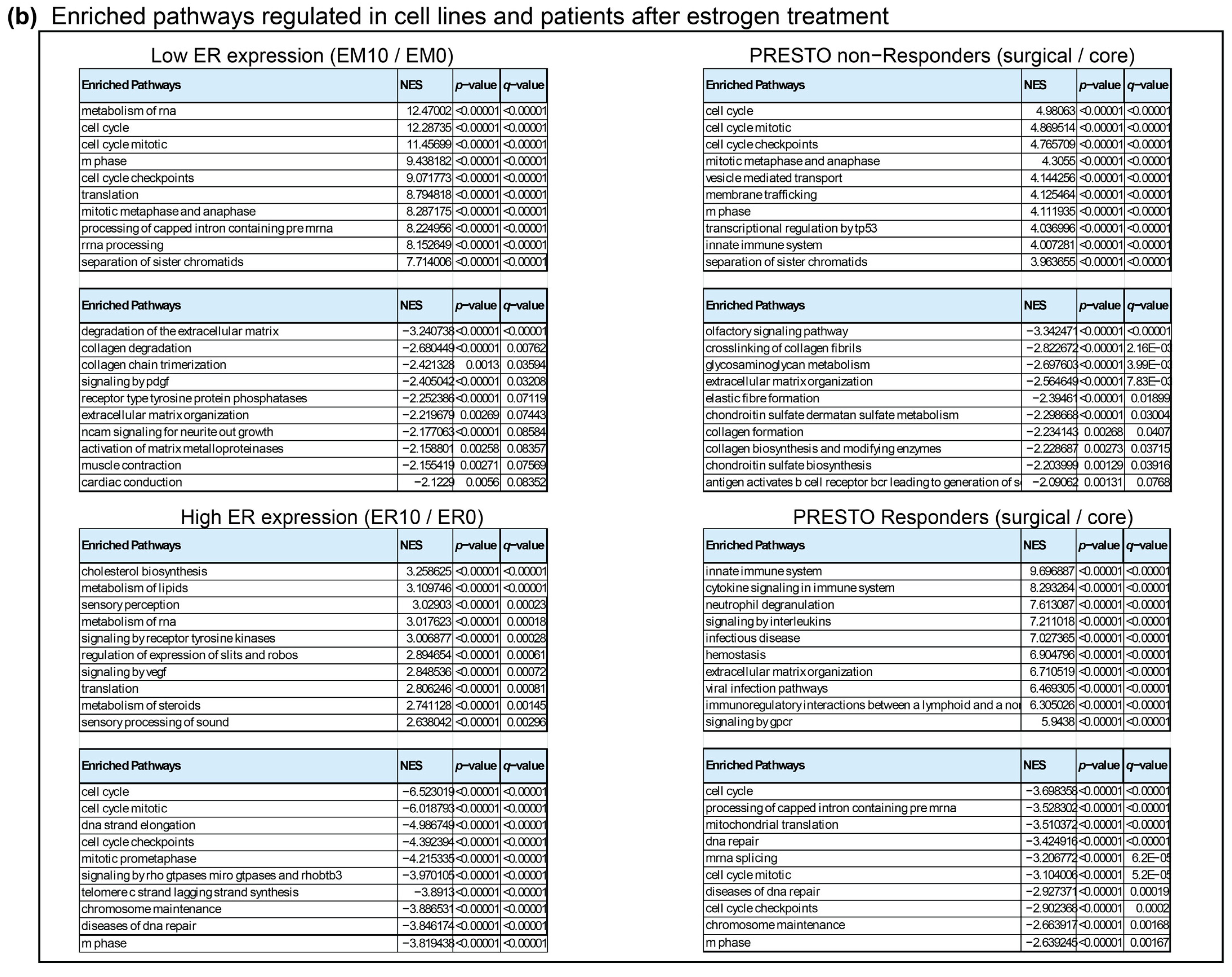 Biomedicines 12 01300 g0a1b