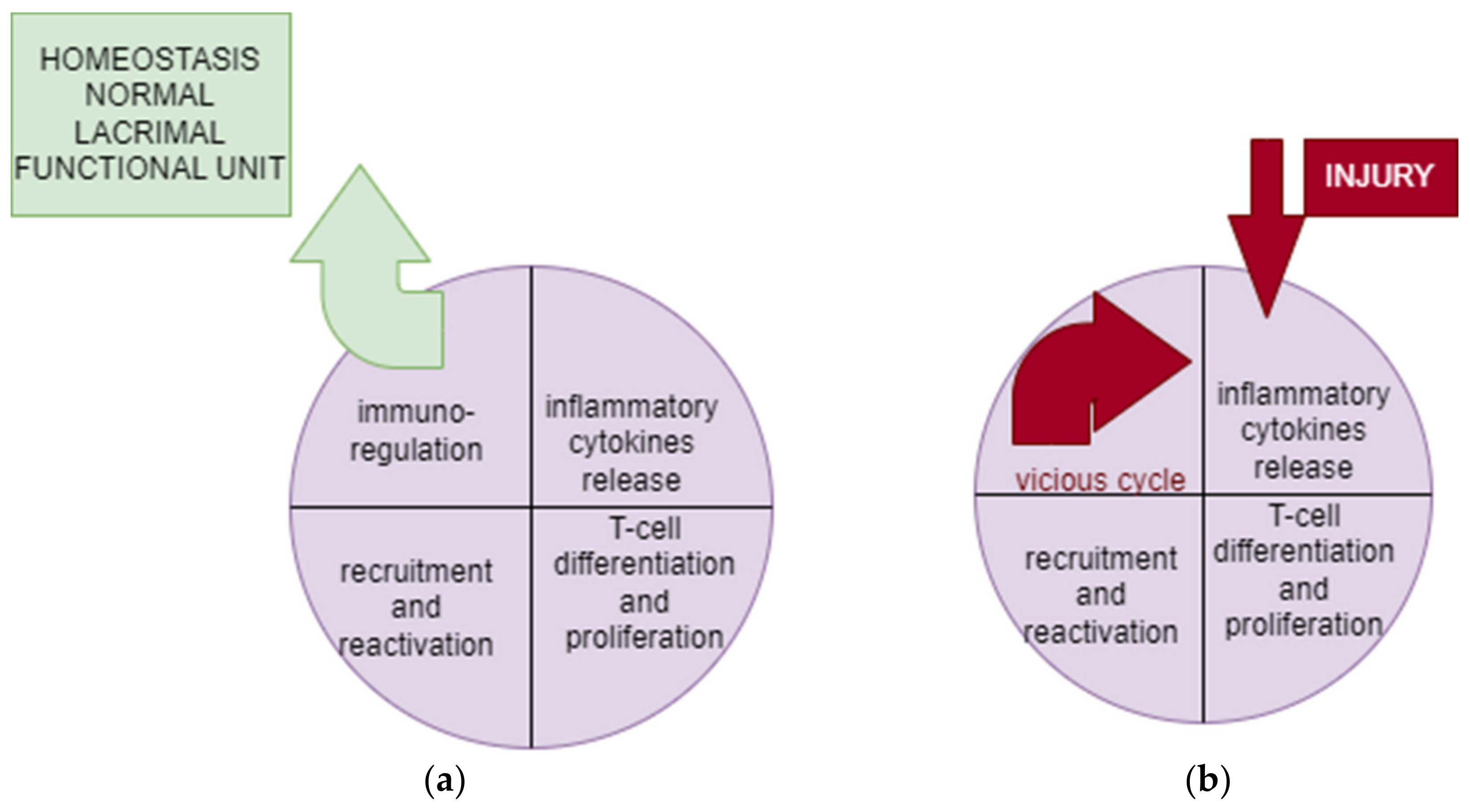 Biomedicines 12 01303 g001