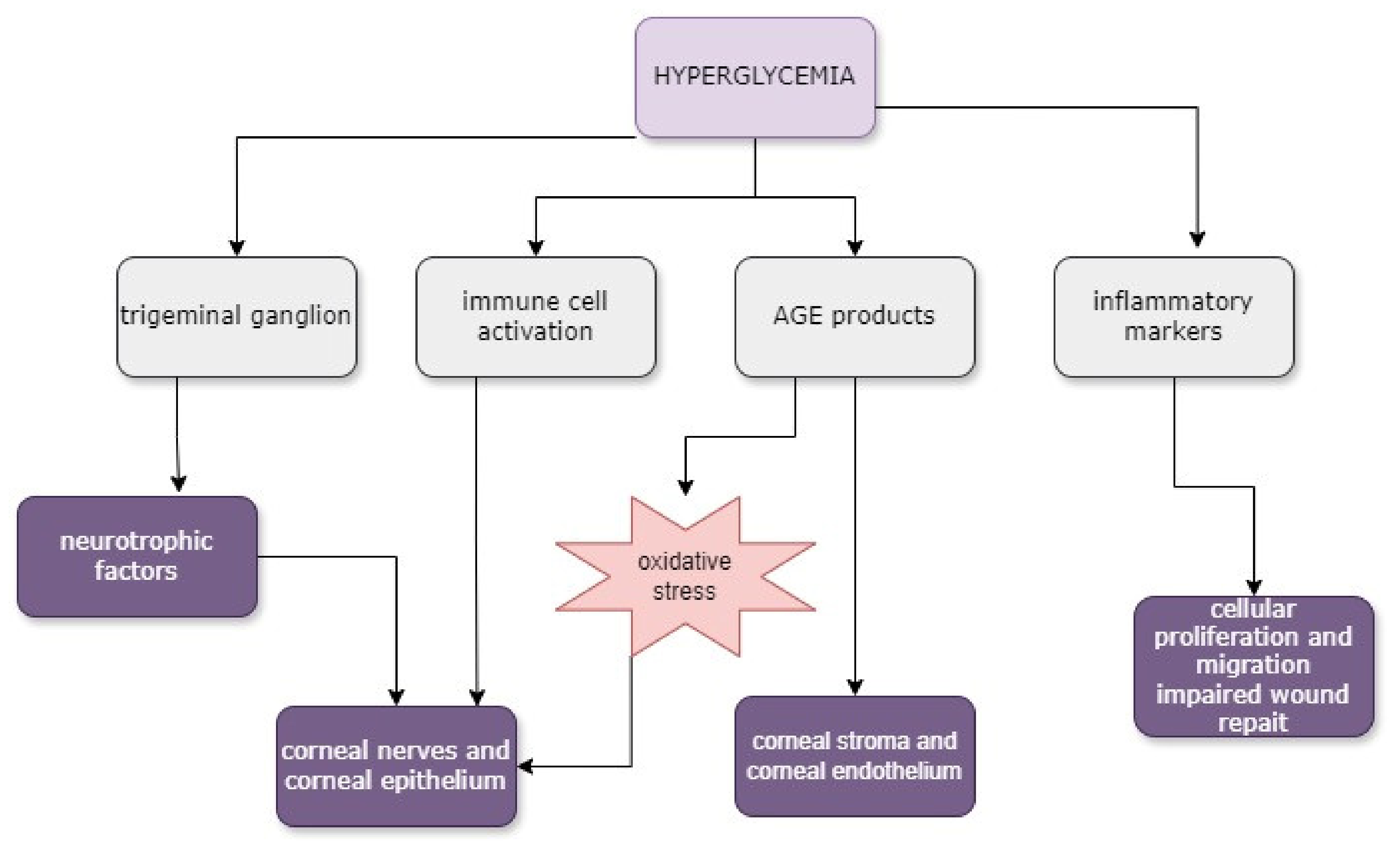 Biomedicines 12 01303 g002