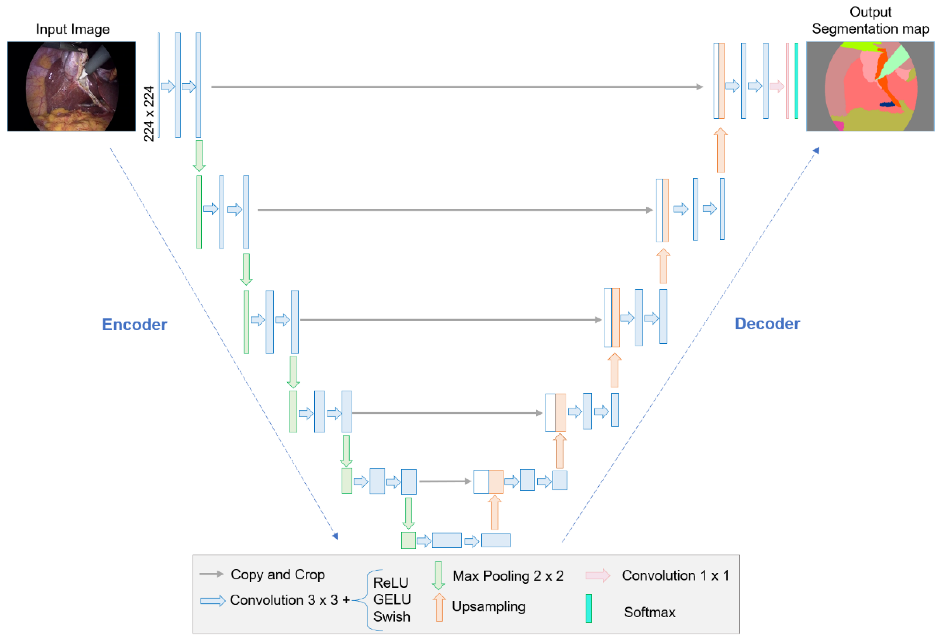 Biomedicines 12 01309 g003
