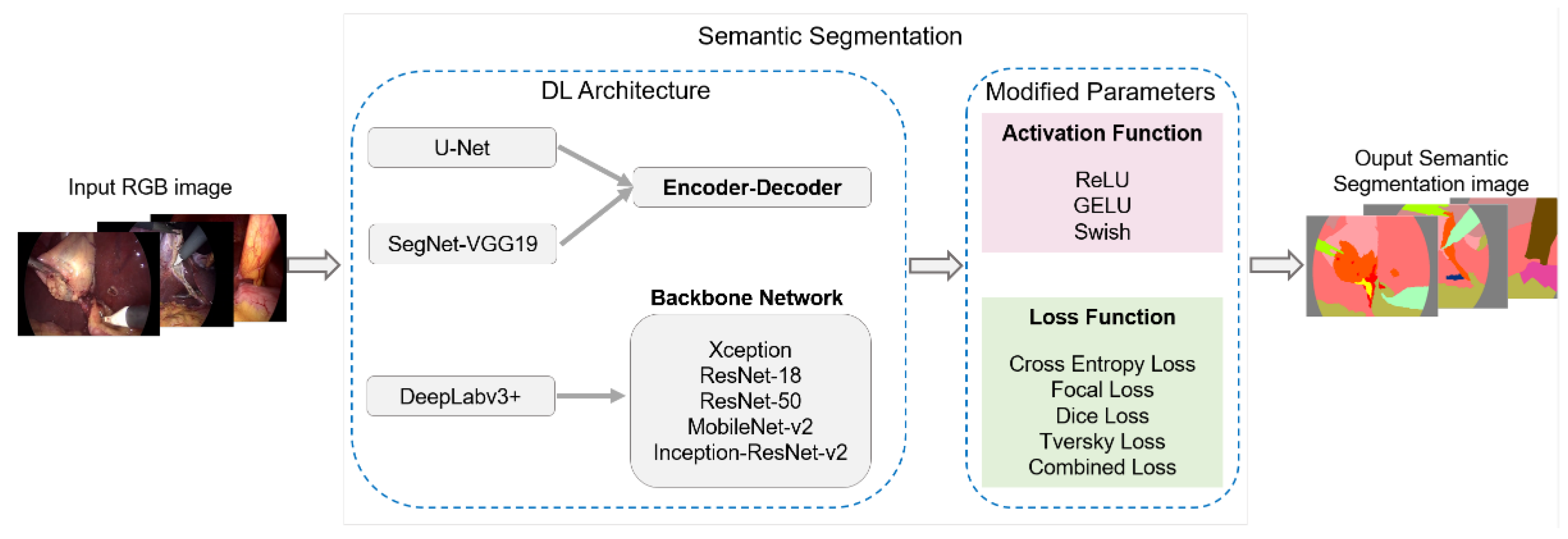 Biomedicines 12 01309 g007