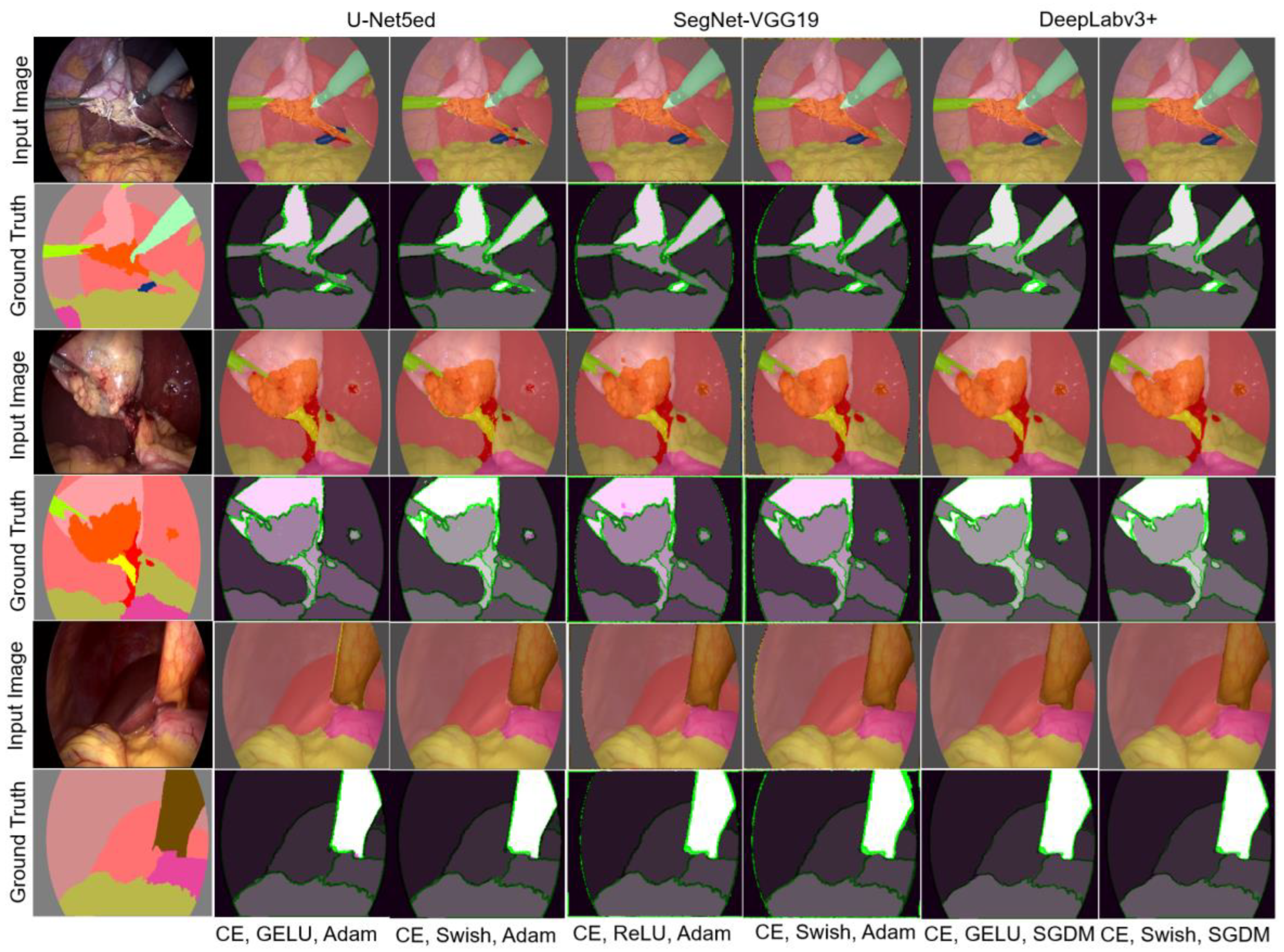 Biomedicines 12 01309 g010