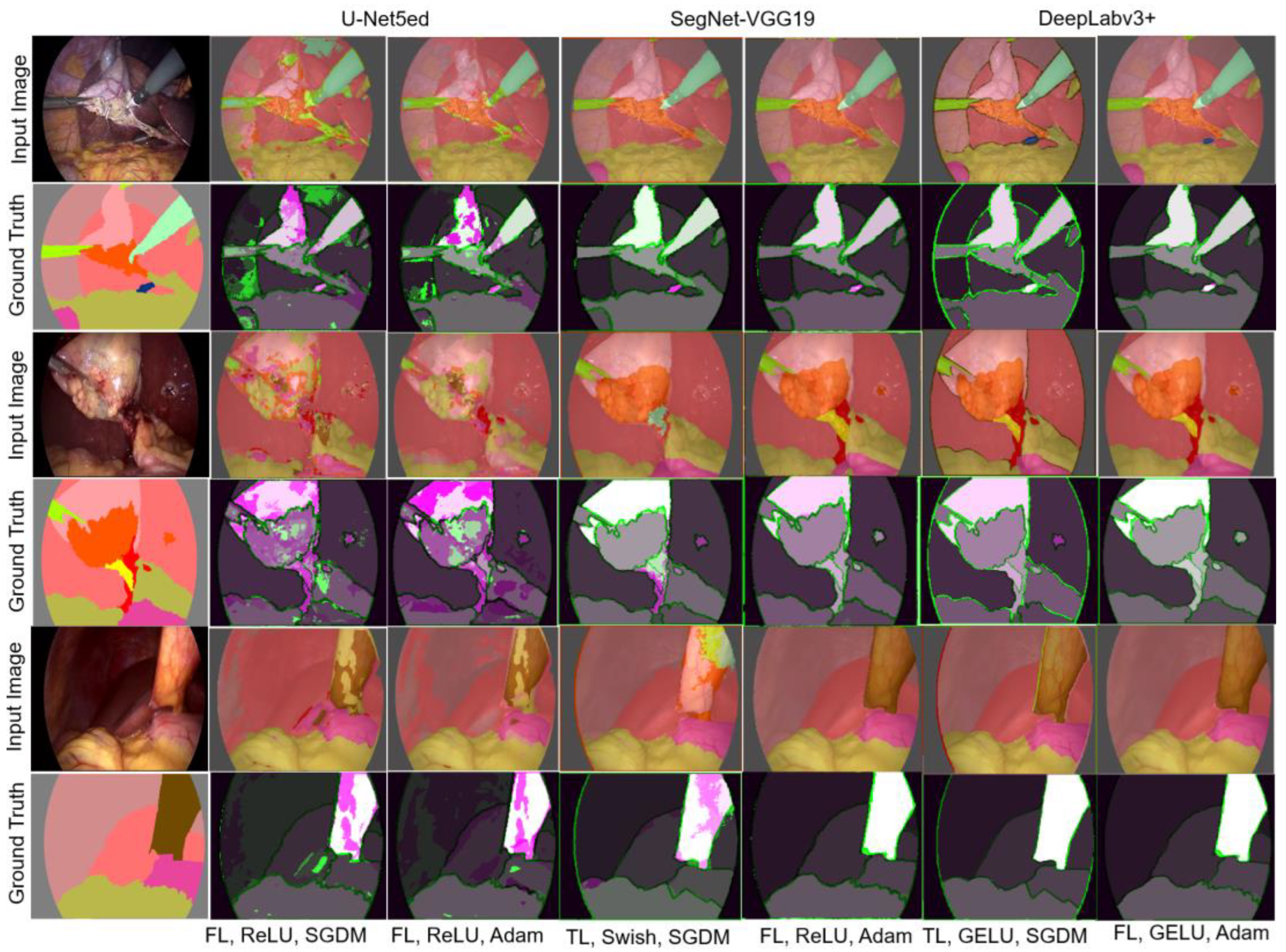 Biomedicines 12 01309 g011