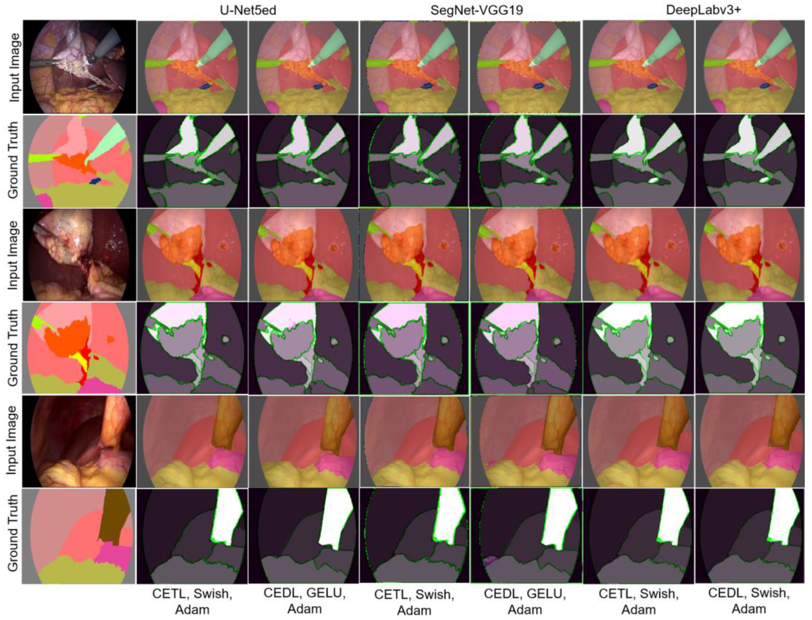 Biomedicines 12 01309 g012