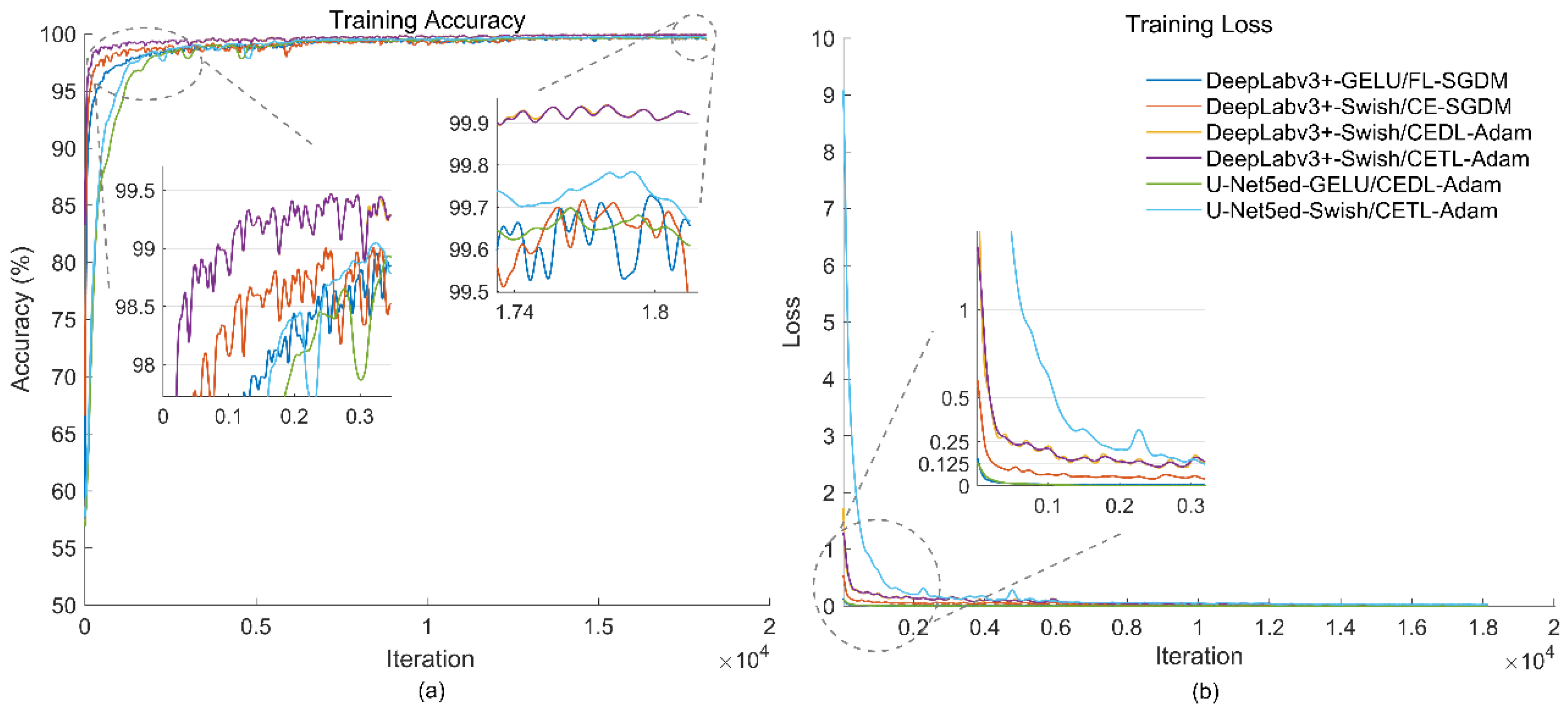 Biomedicines 12 01309 g013
