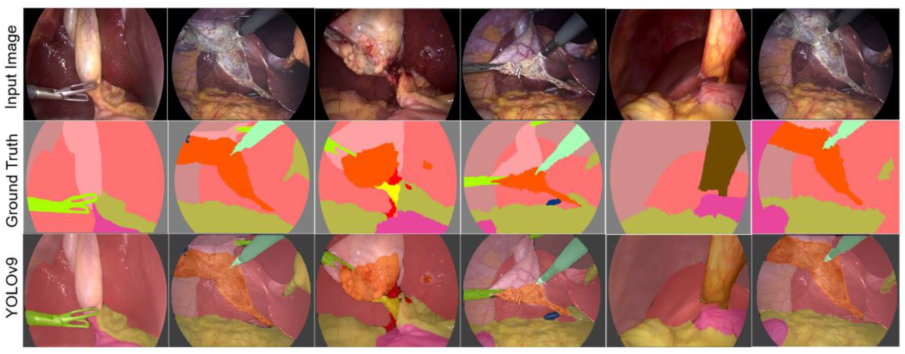 Biomedicines 12 01309 g014