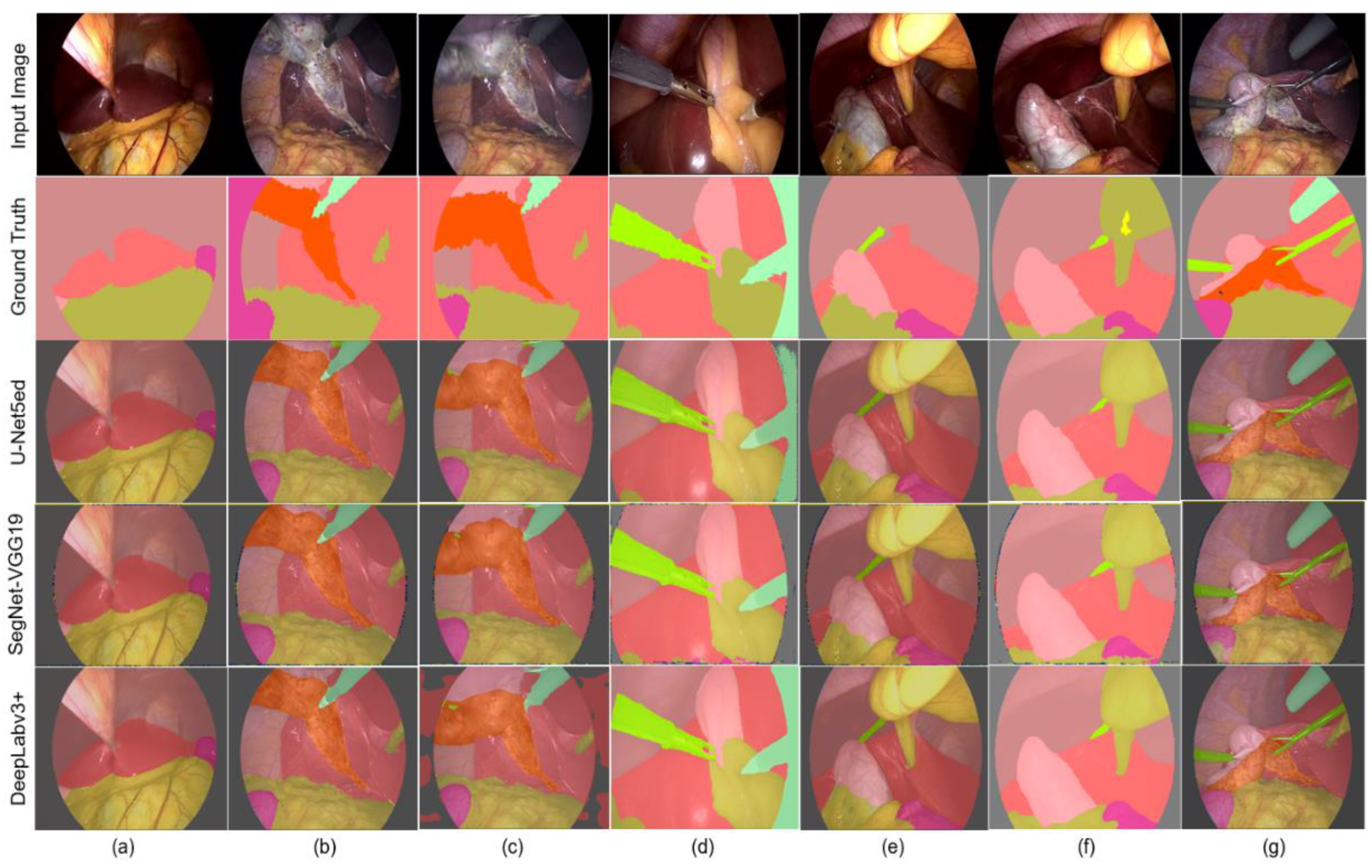 Biomedicines 12 01309 g016
