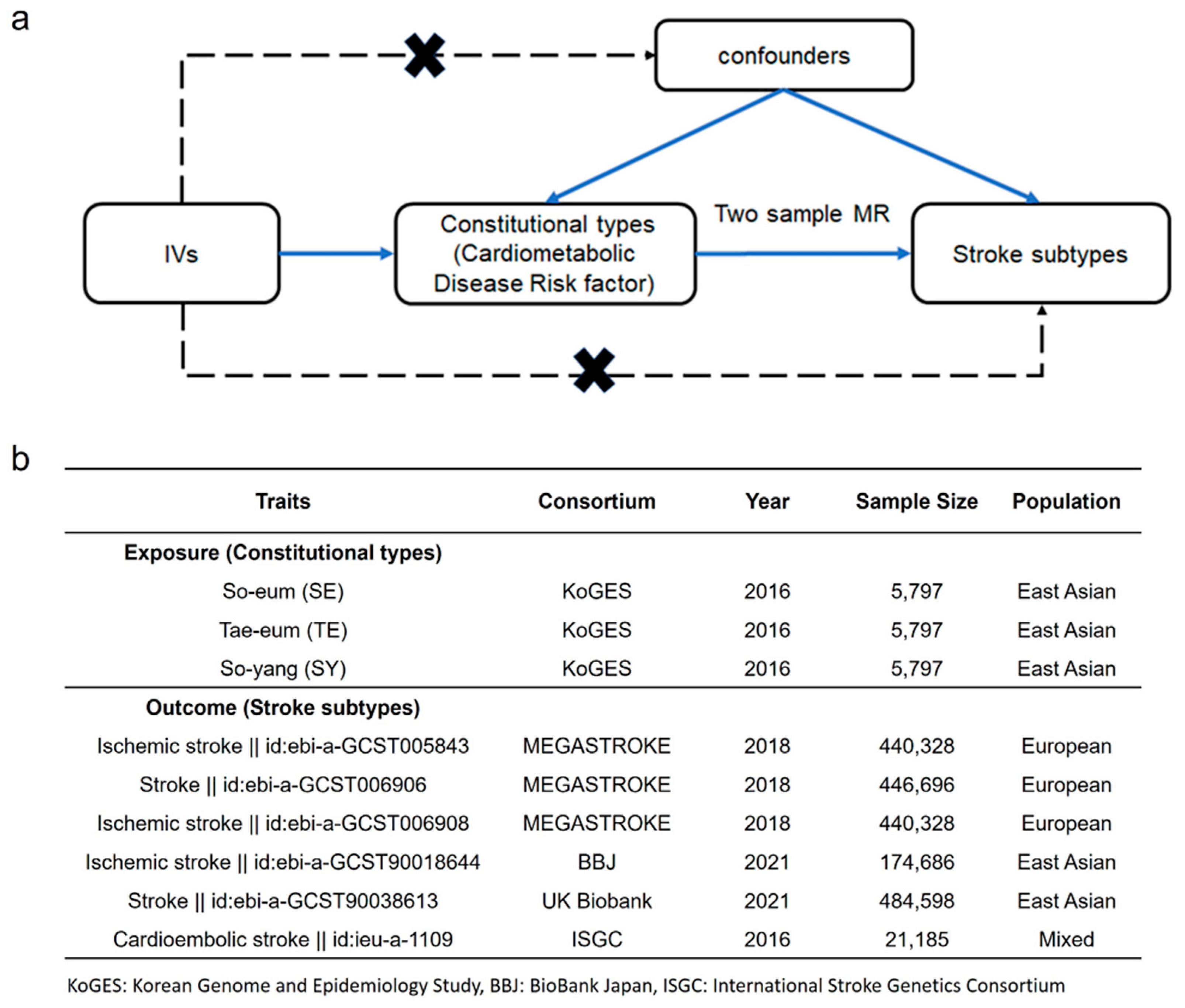 Biomedicines 12 01311 g002