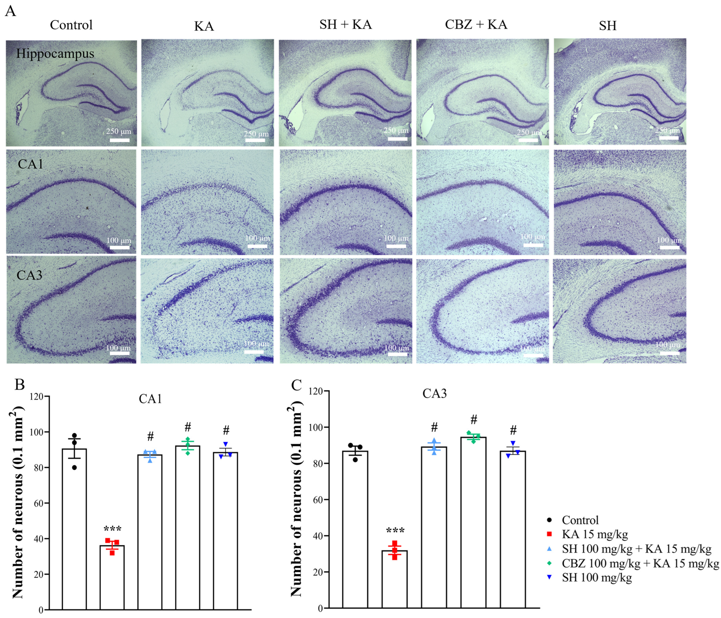Biomedicines 12 01312 g002