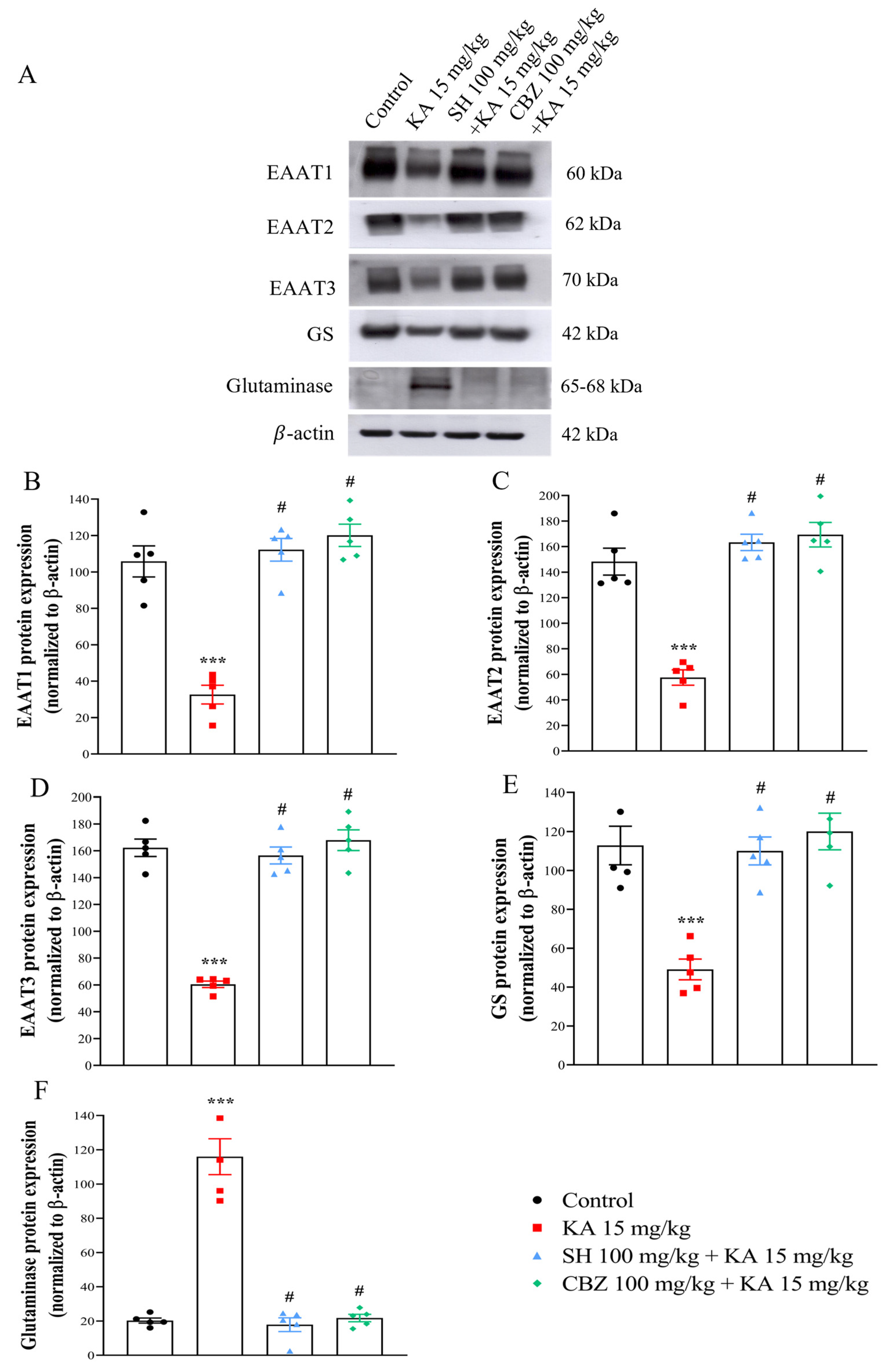 Biomedicines 12 01312 g005