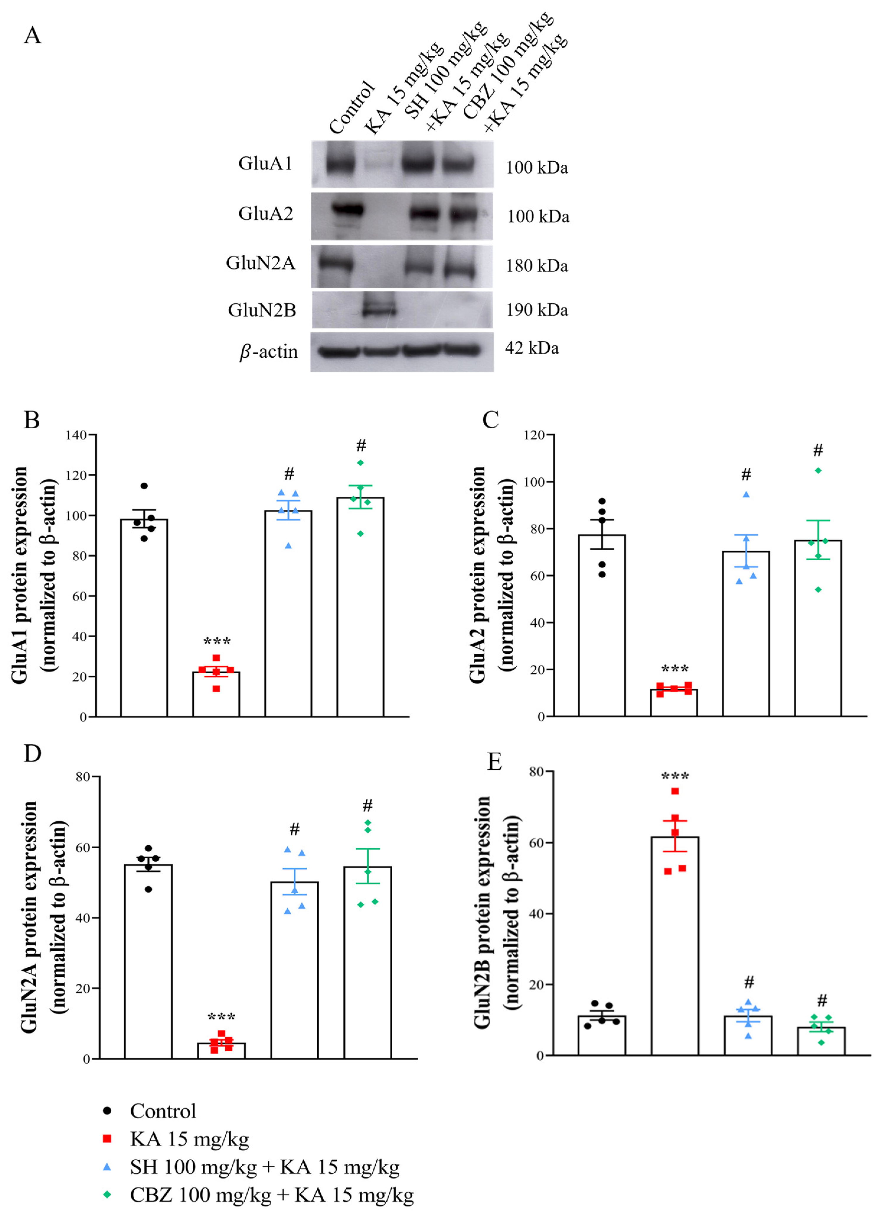 Biomedicines 12 01312 g006