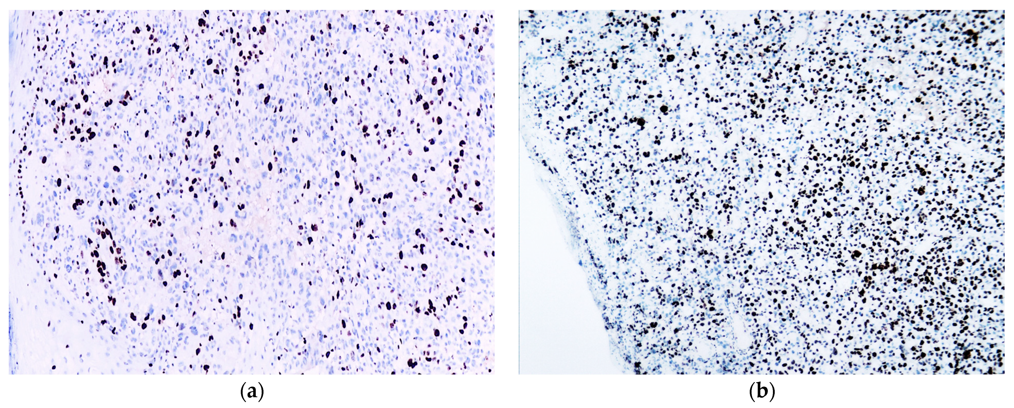 Biomedicines 12 01318 g004