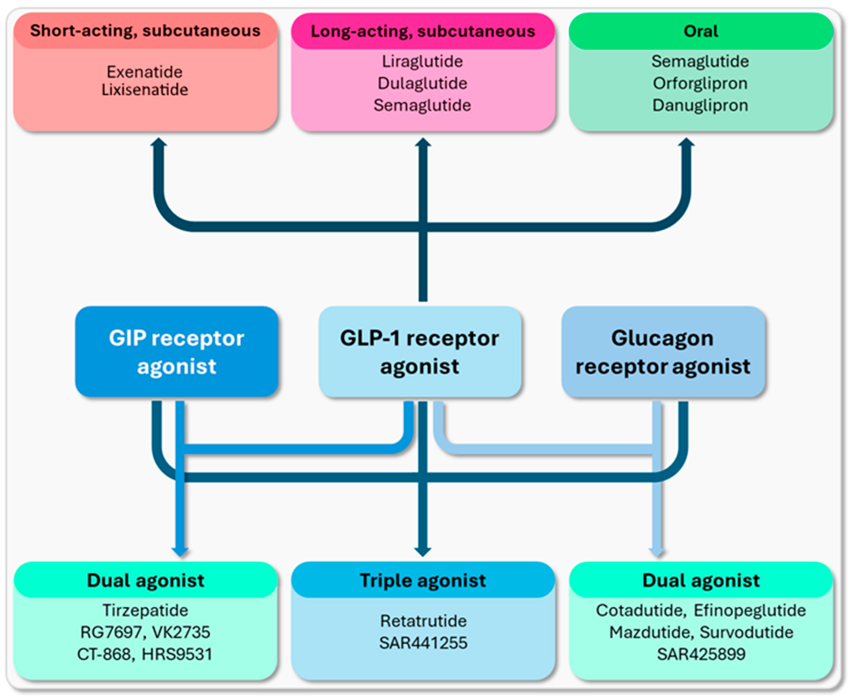 Biomedicines 12 01320 g001 Biomedicines 12 01320 g001