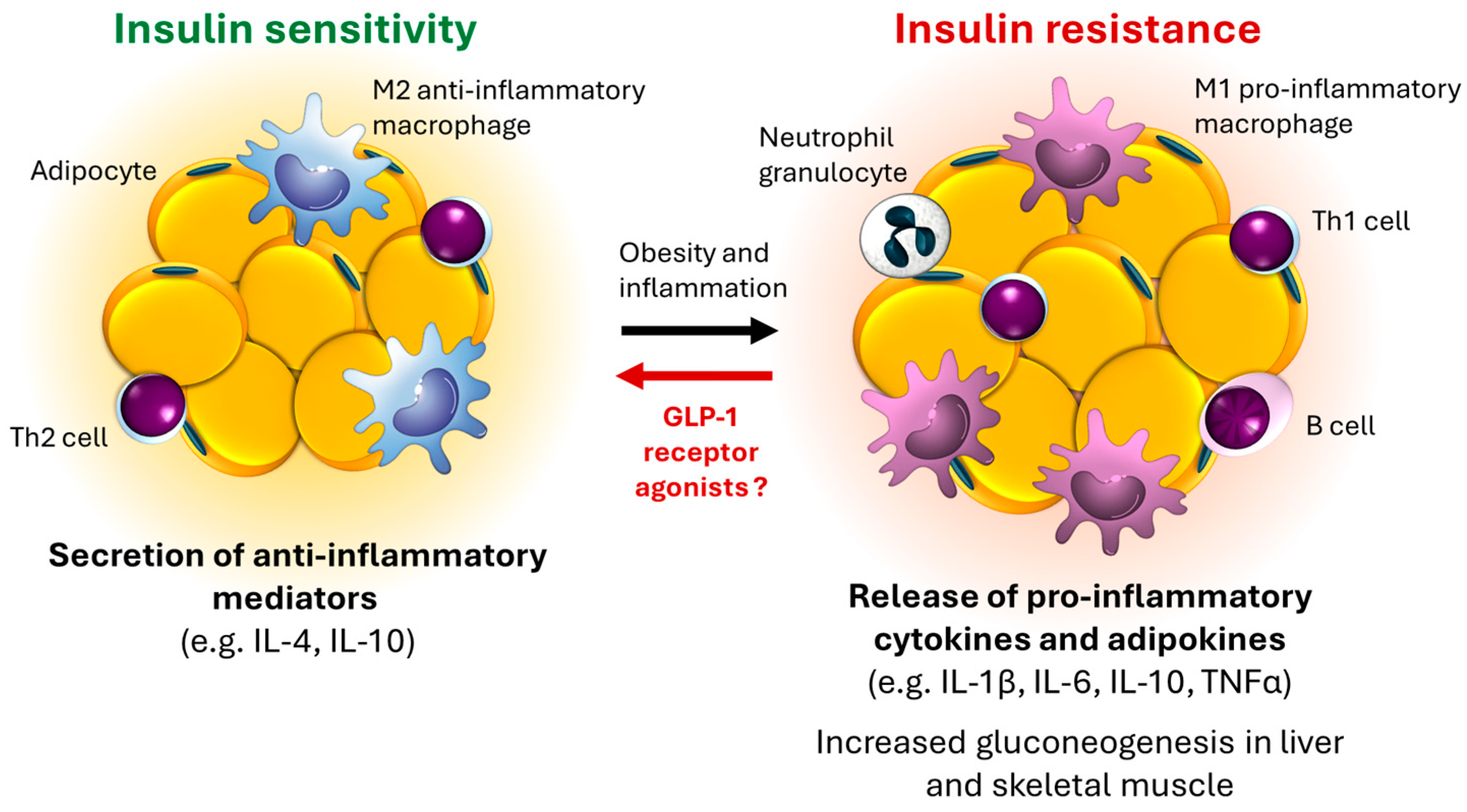 Biomedicines 12 01320 g002 Biomedicines 12 01320 g002