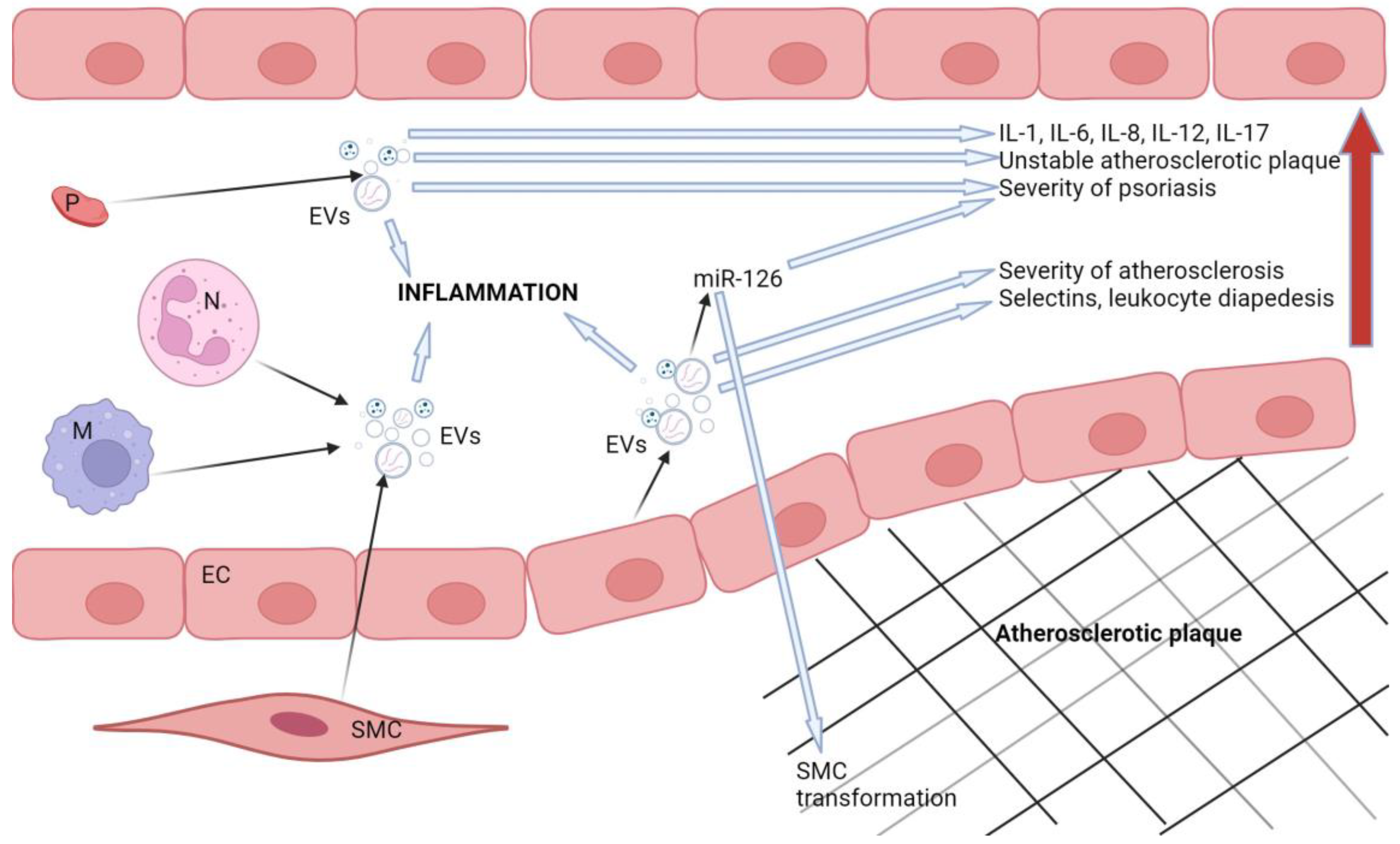 Biomedicines 12 01322 g002
