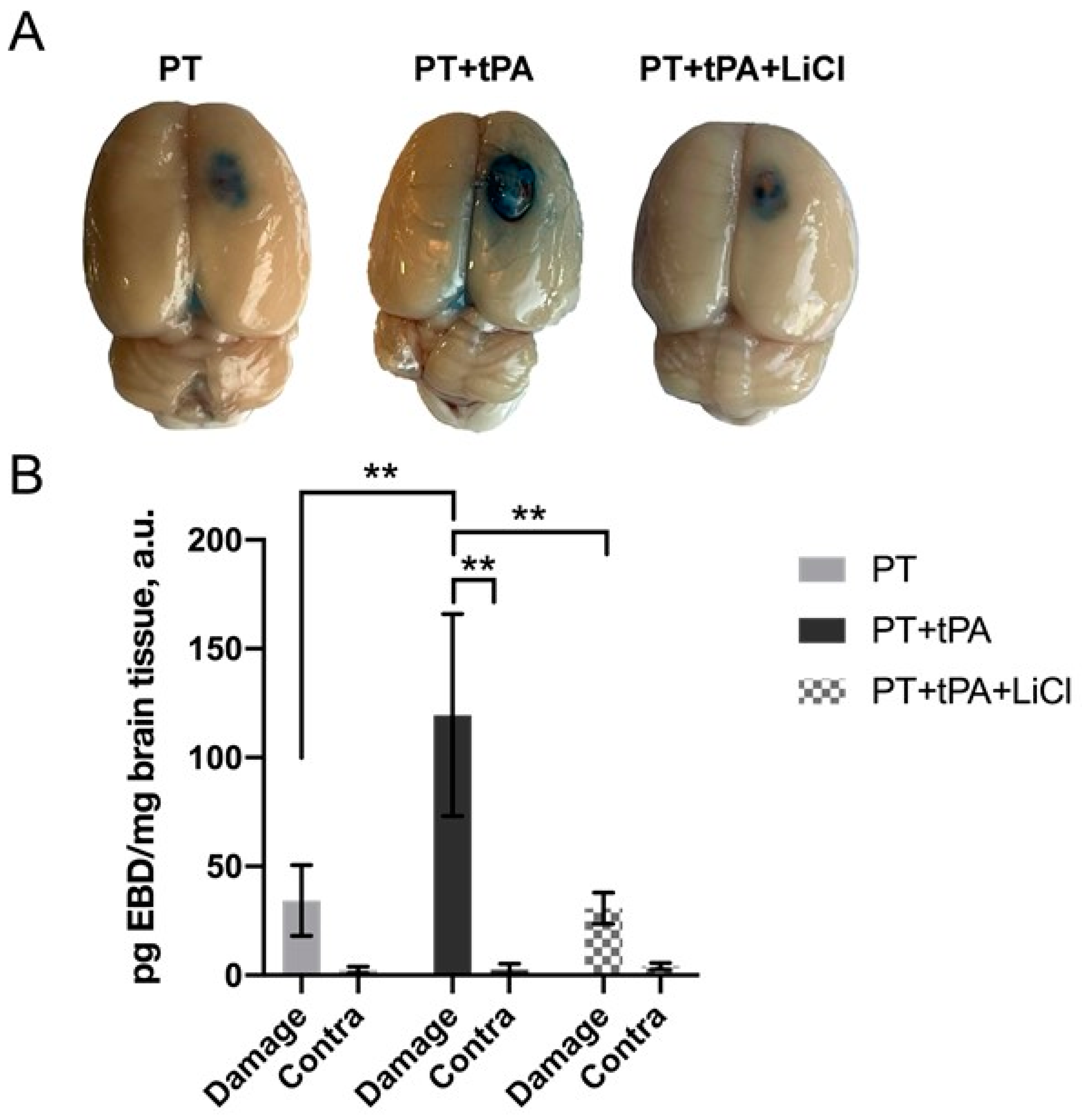 Biomedicines 12 01325 g003