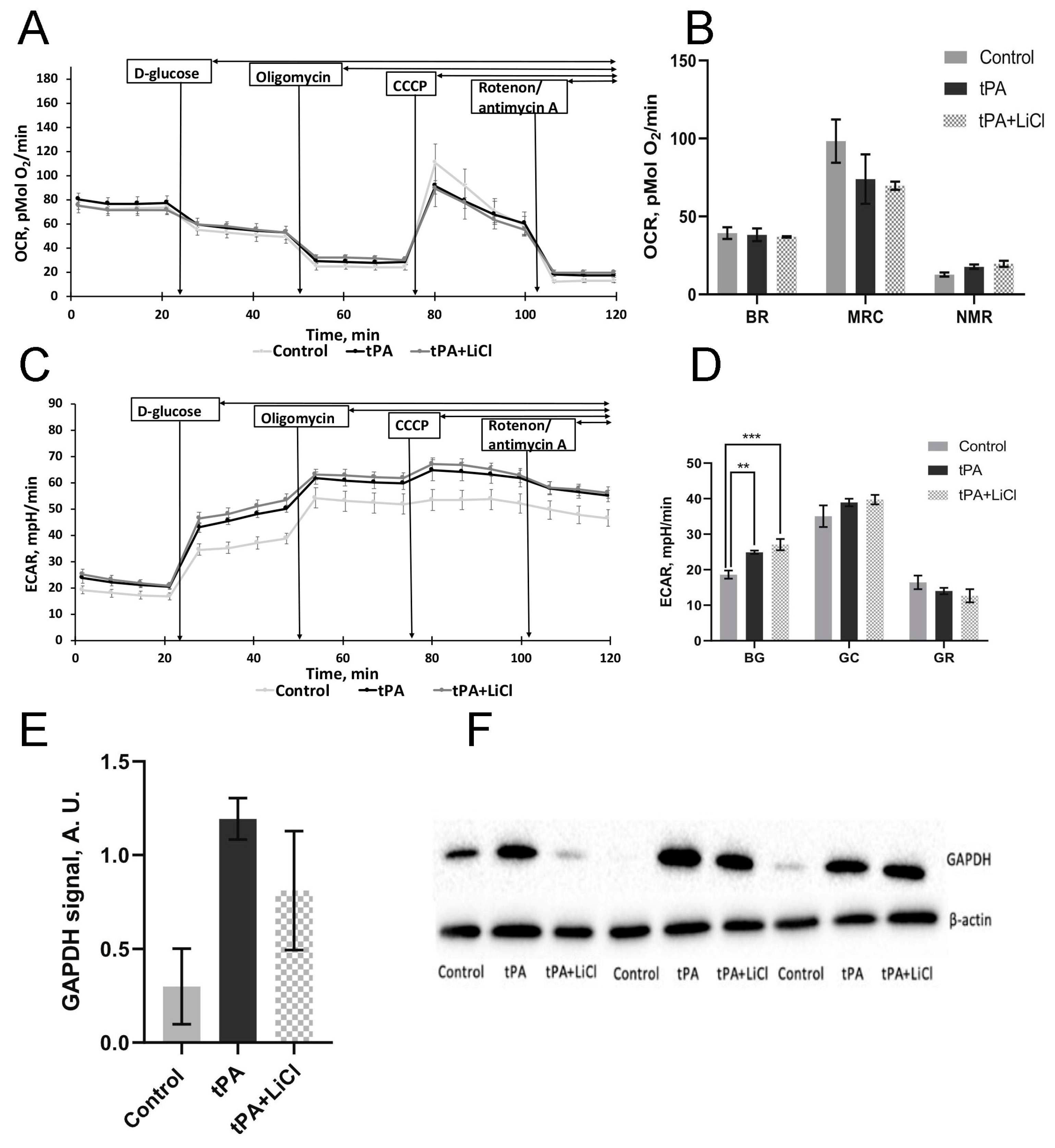 Biomedicines 12 01325 g006