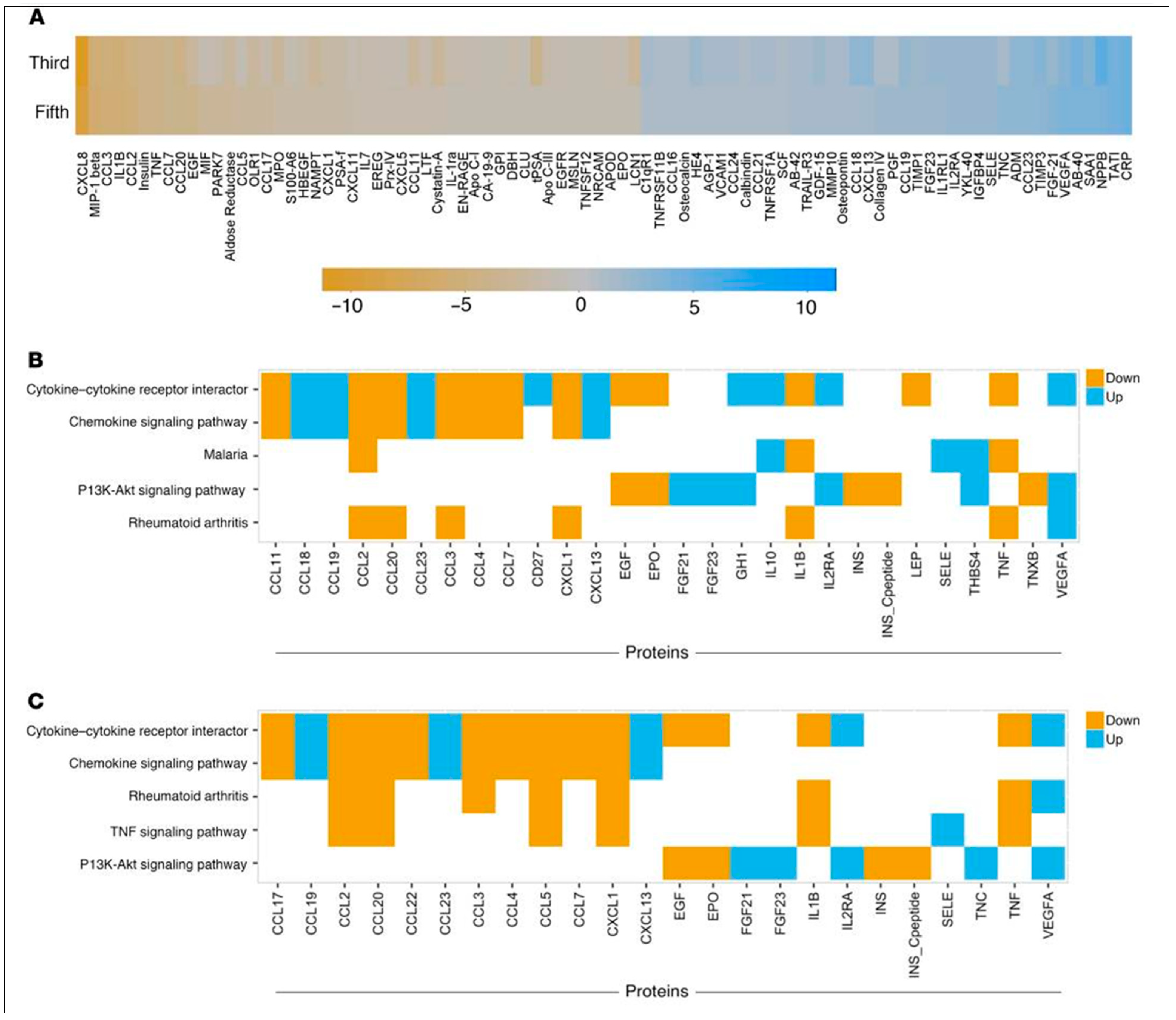 Biomedicines 12 01328 g004