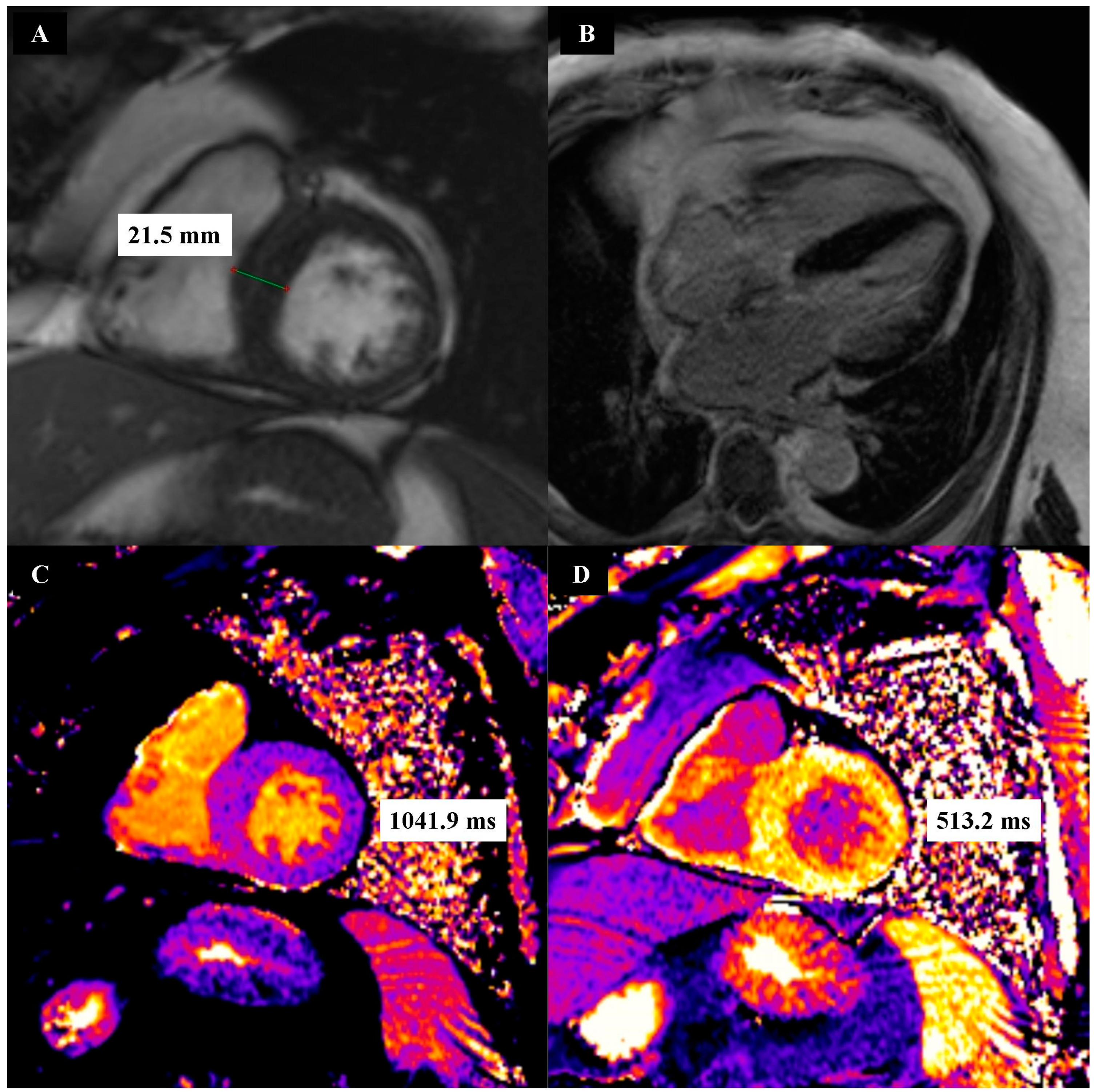 Biomedicines 12 01330 g001