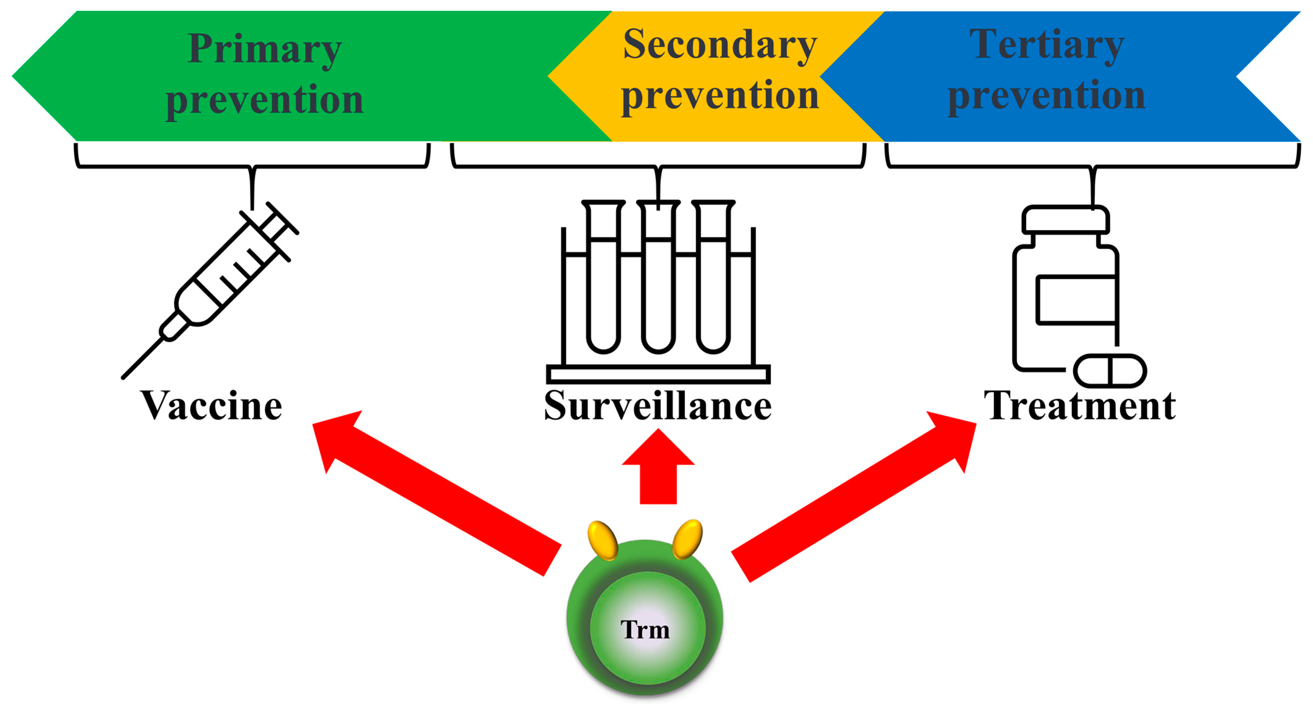 Biomedicines 12 01342 g004