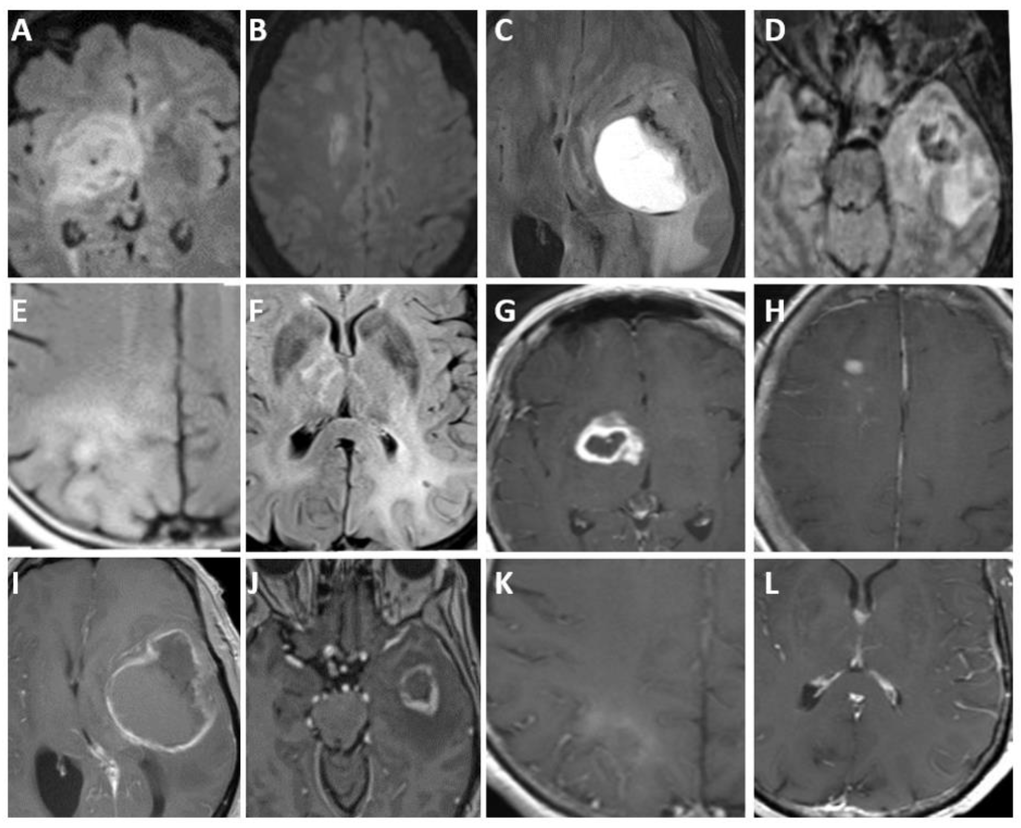 Biomedicines 12 01349 g006 Biomedicines 12 01349 g006
