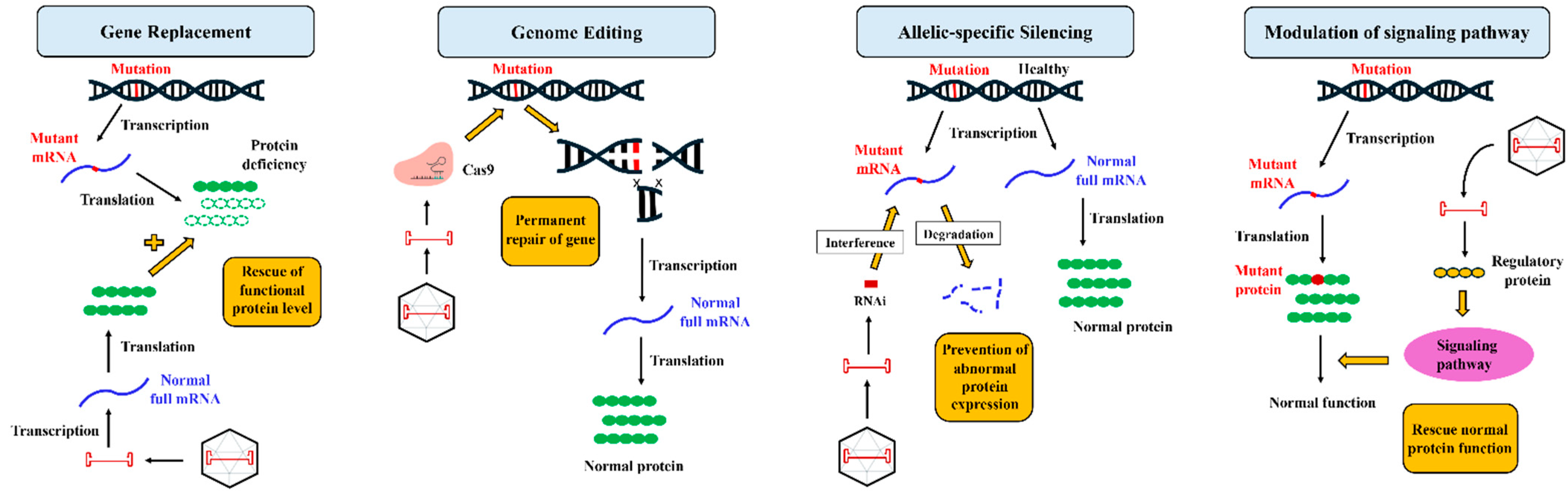 Biomedicines 12 01351 g001